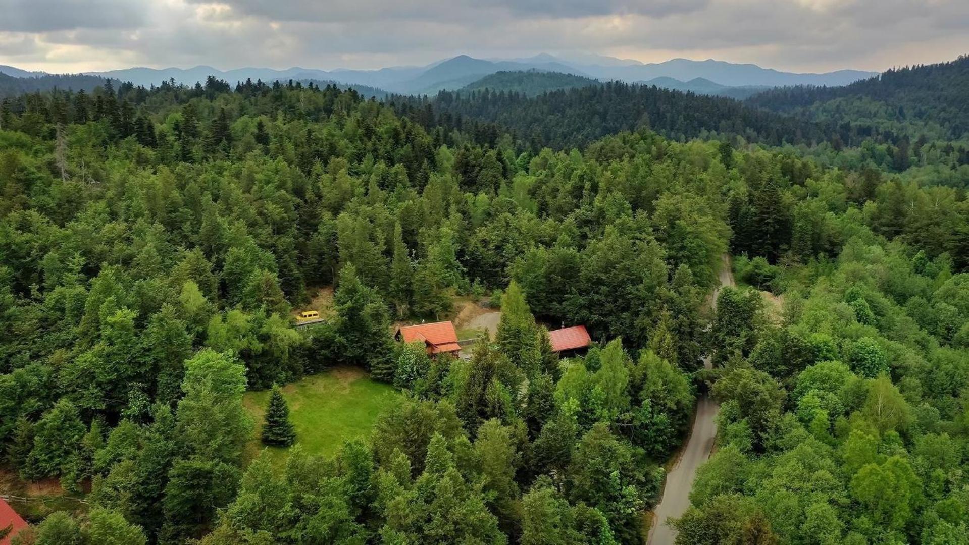 Ferienhaus für 7 Personen ca 80 qm in Lokve, Kvarner Bucht Gespanschaft Primorje-Gorski view 2