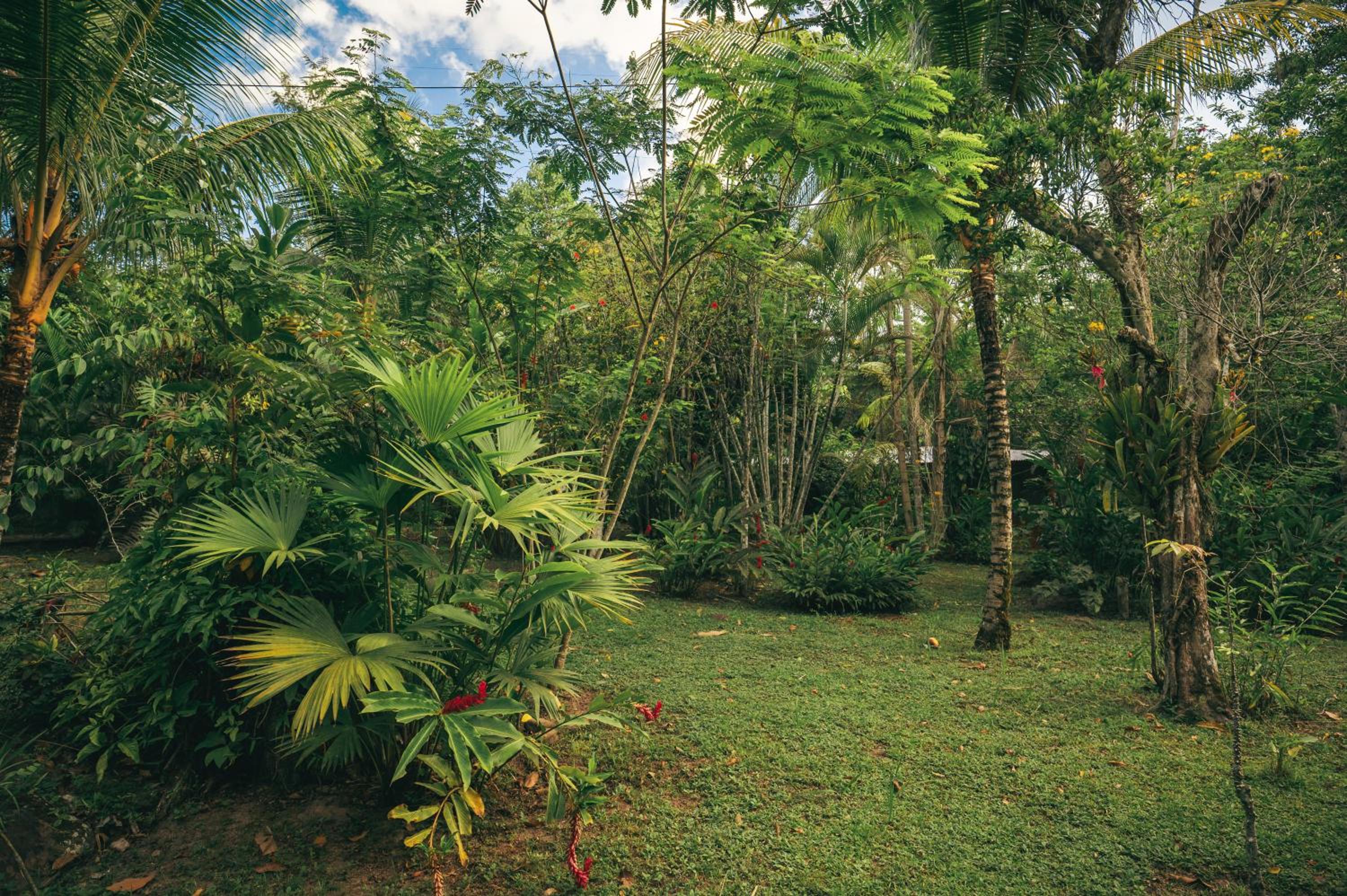 Huingos Eco Lodge