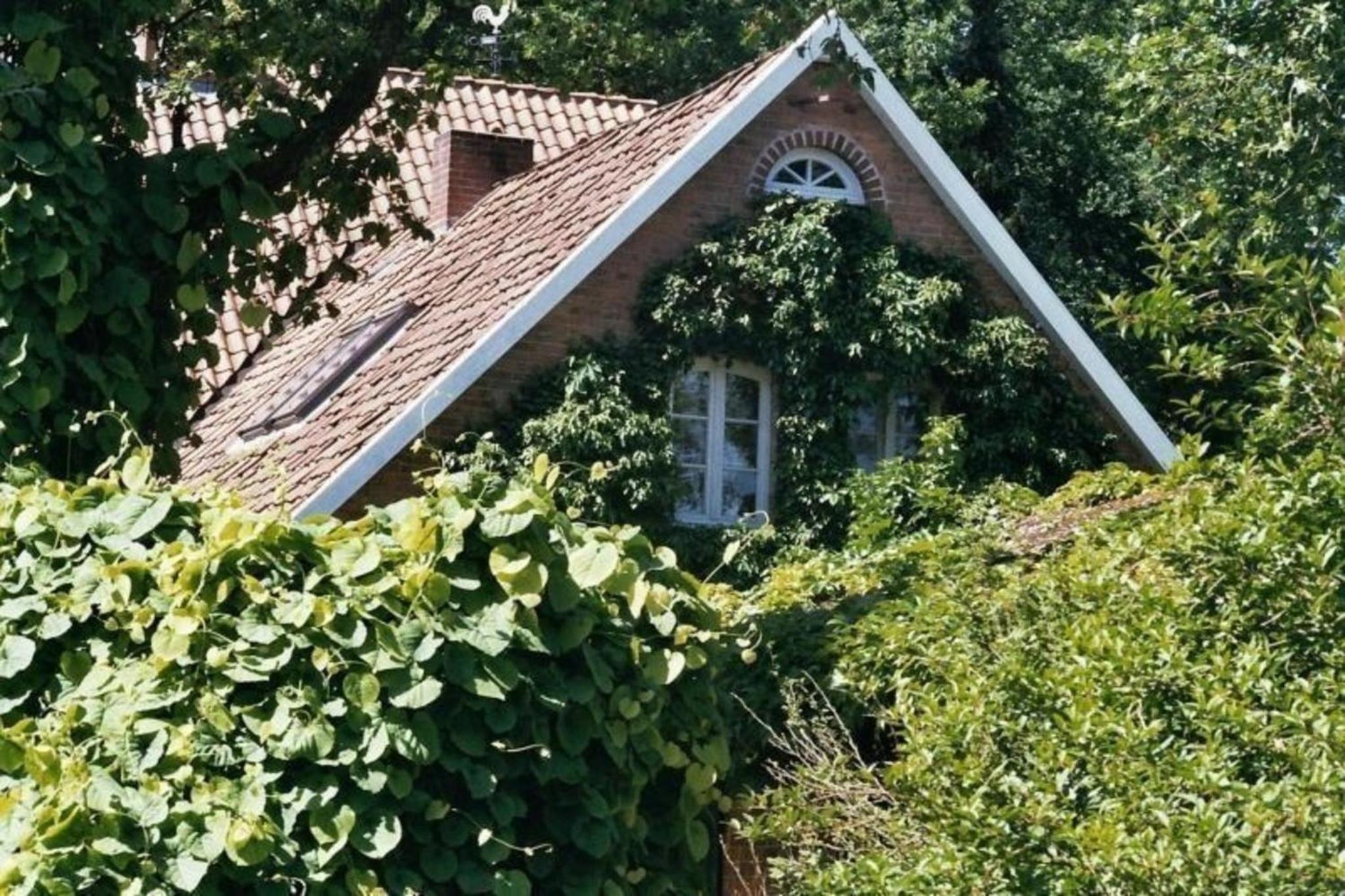 Ferienwohnung In Ehemaliger Dorfschule Am Dorfrand