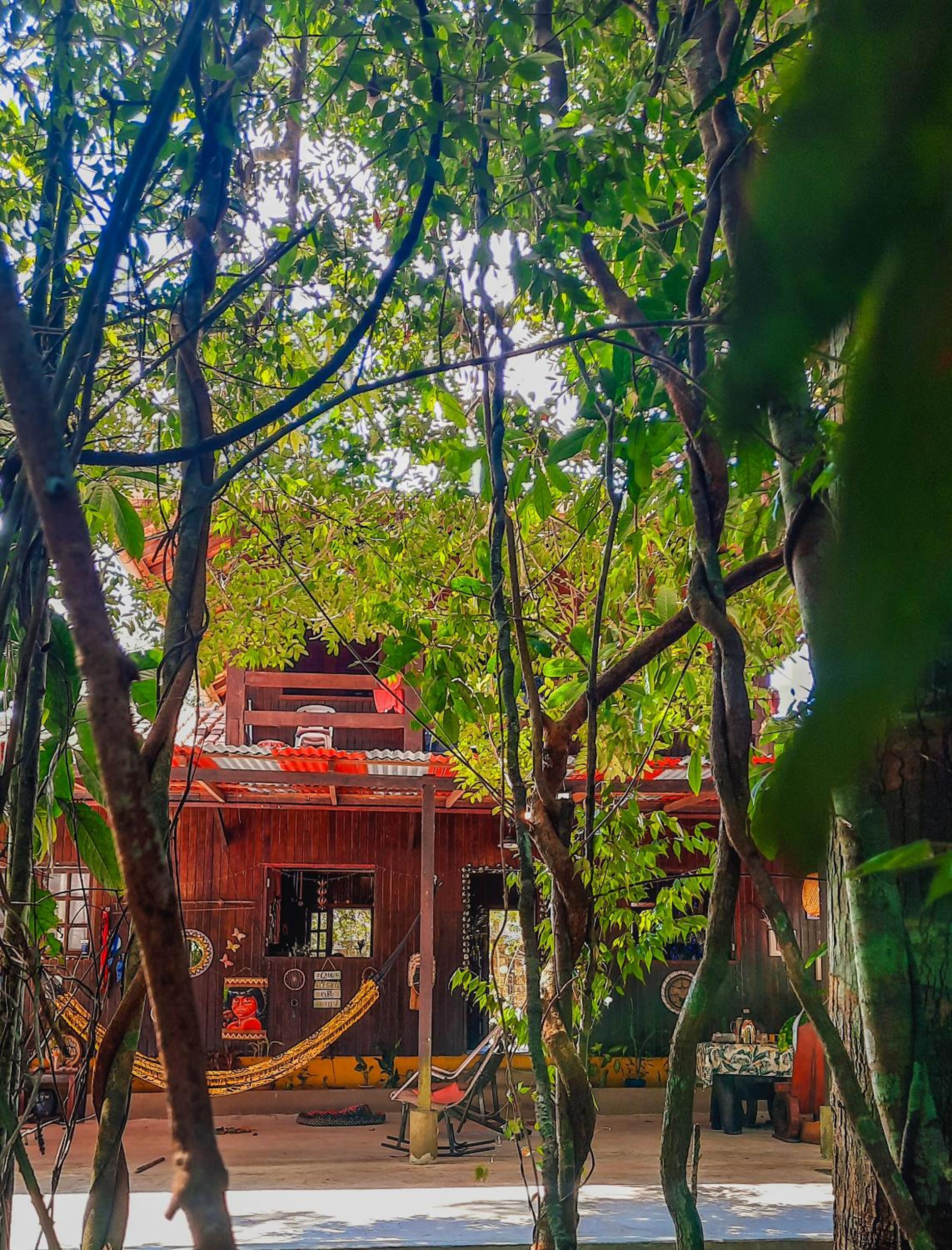 Floresta Zen - Pousada Xamanica