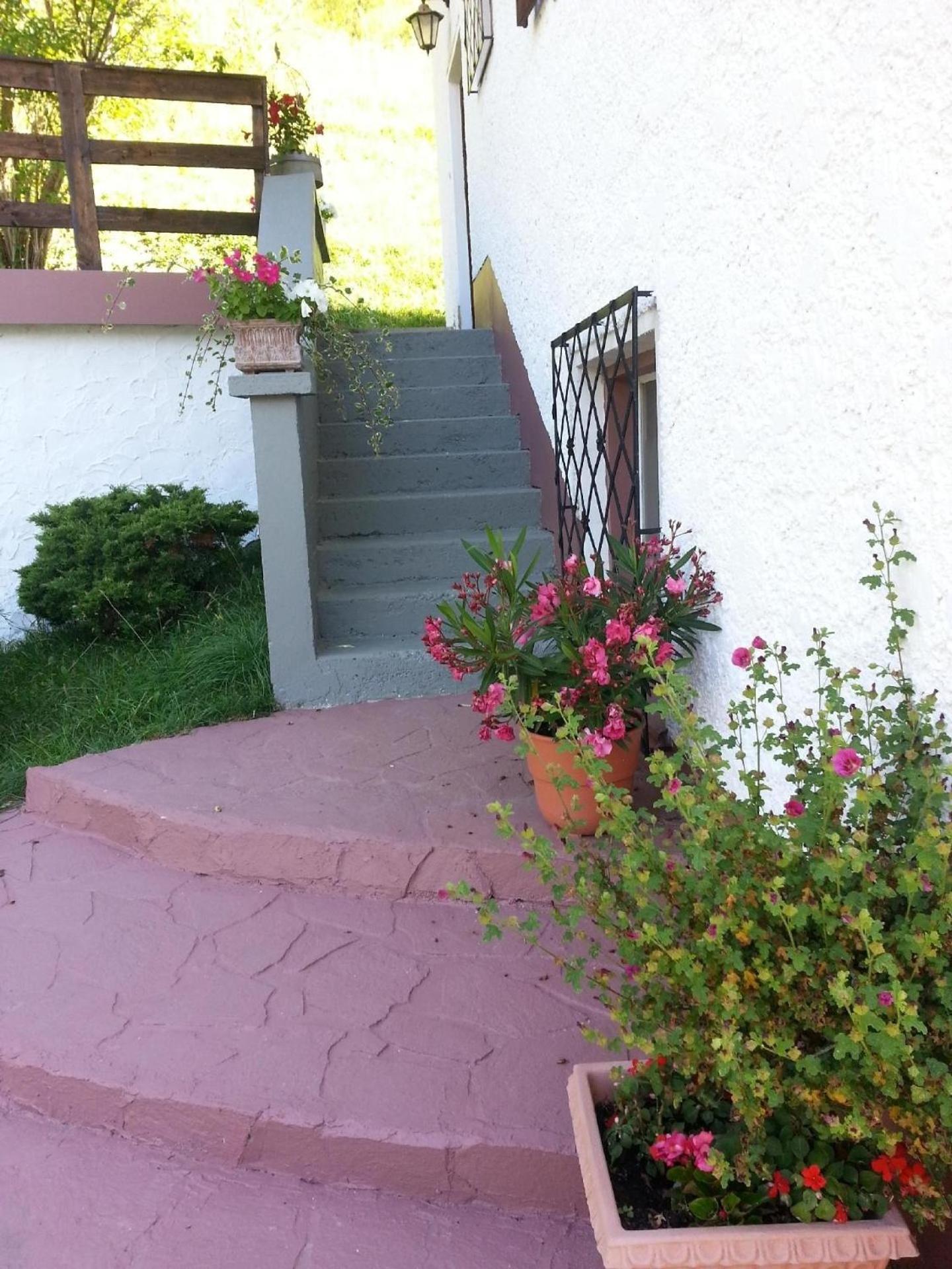Ferienhaus In Ruhiger Lage Am Waldrand