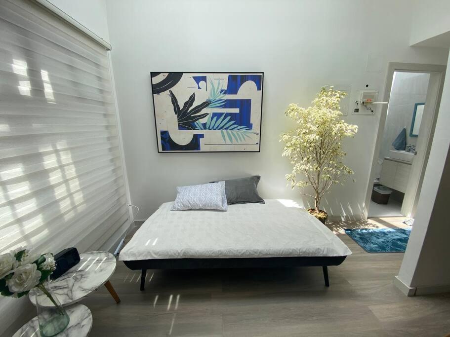 Modern Cozy Suite Cuenca