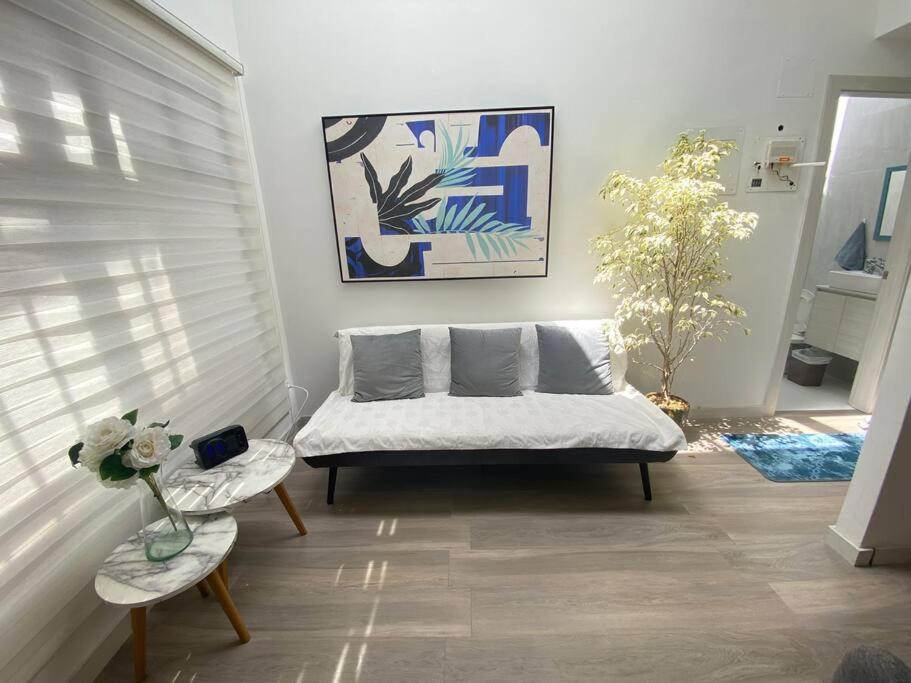 Modern Cozy Suite Cuenca