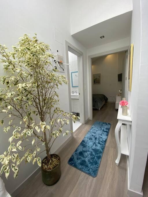 Modern Cozy Suite Cuenca