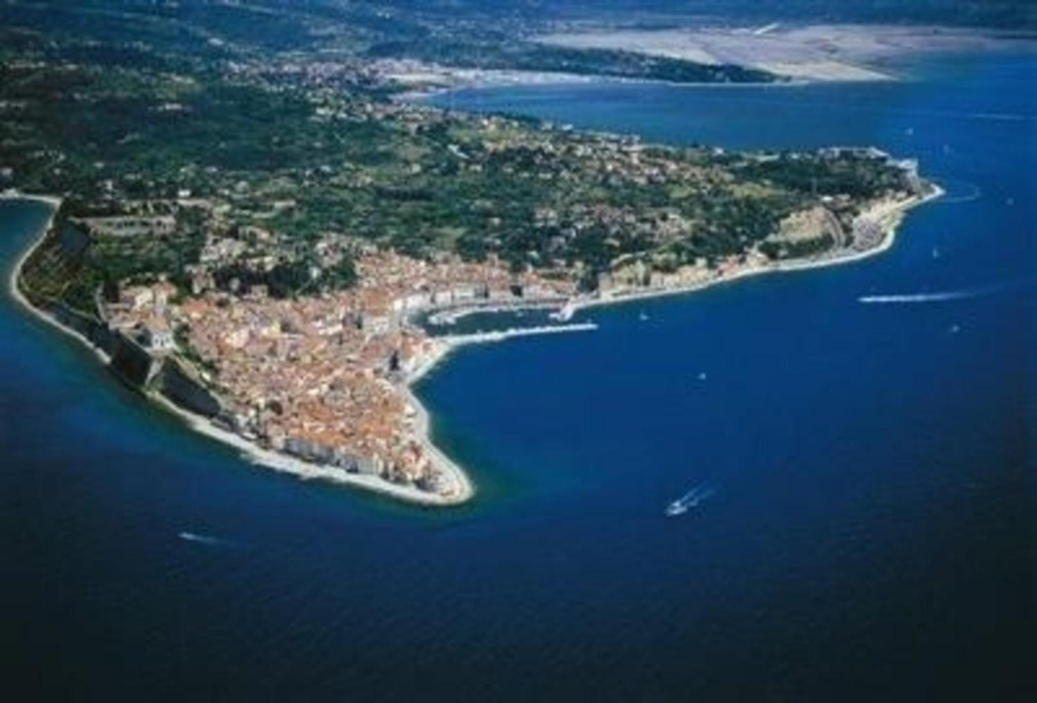 Appartement Portoroz Mit Terrasse Und Garten view 5