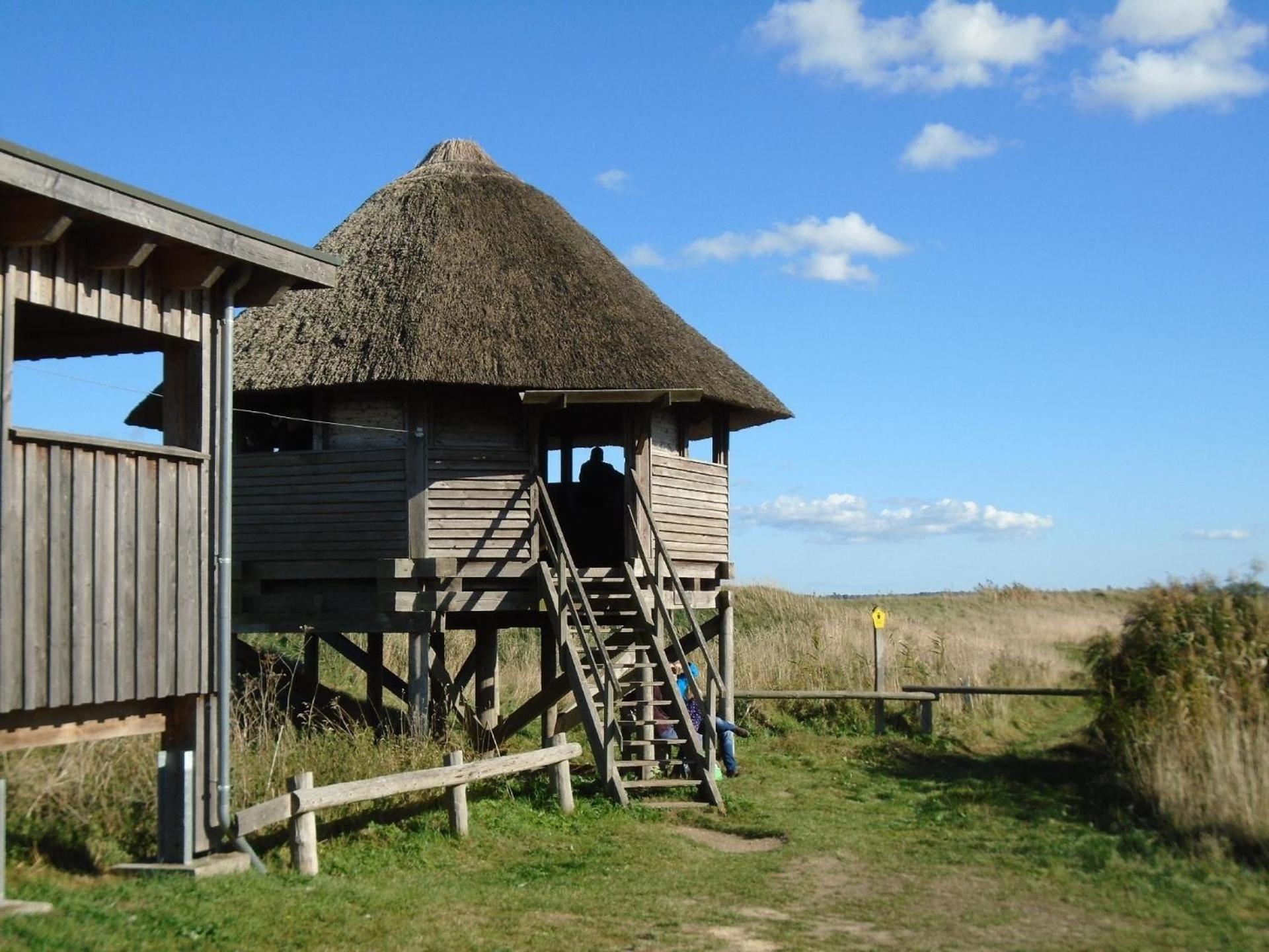 Komfortable Ferienwohnung In Zingst