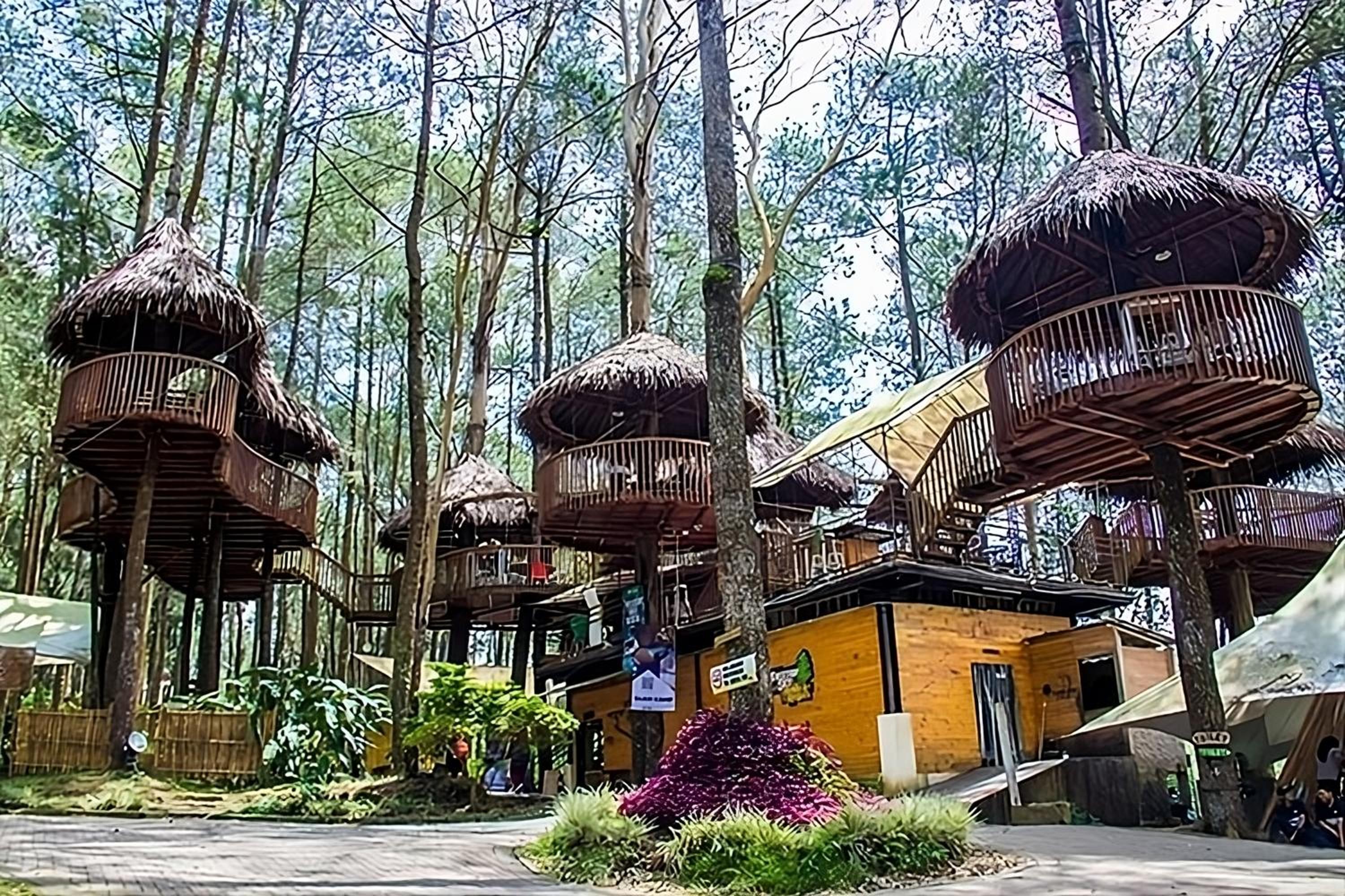 Kopeng Treetop Adventure Park