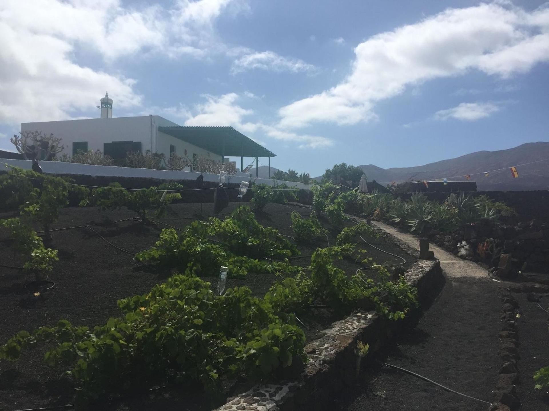 Finca mit Pool und herrlichem Meerblick