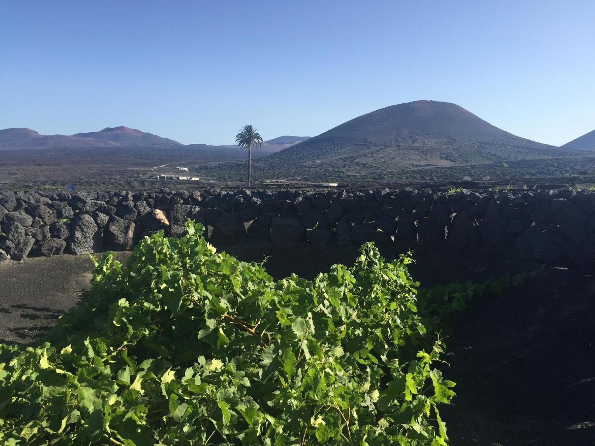 Finca mit Pool und herrlichem Meerblick