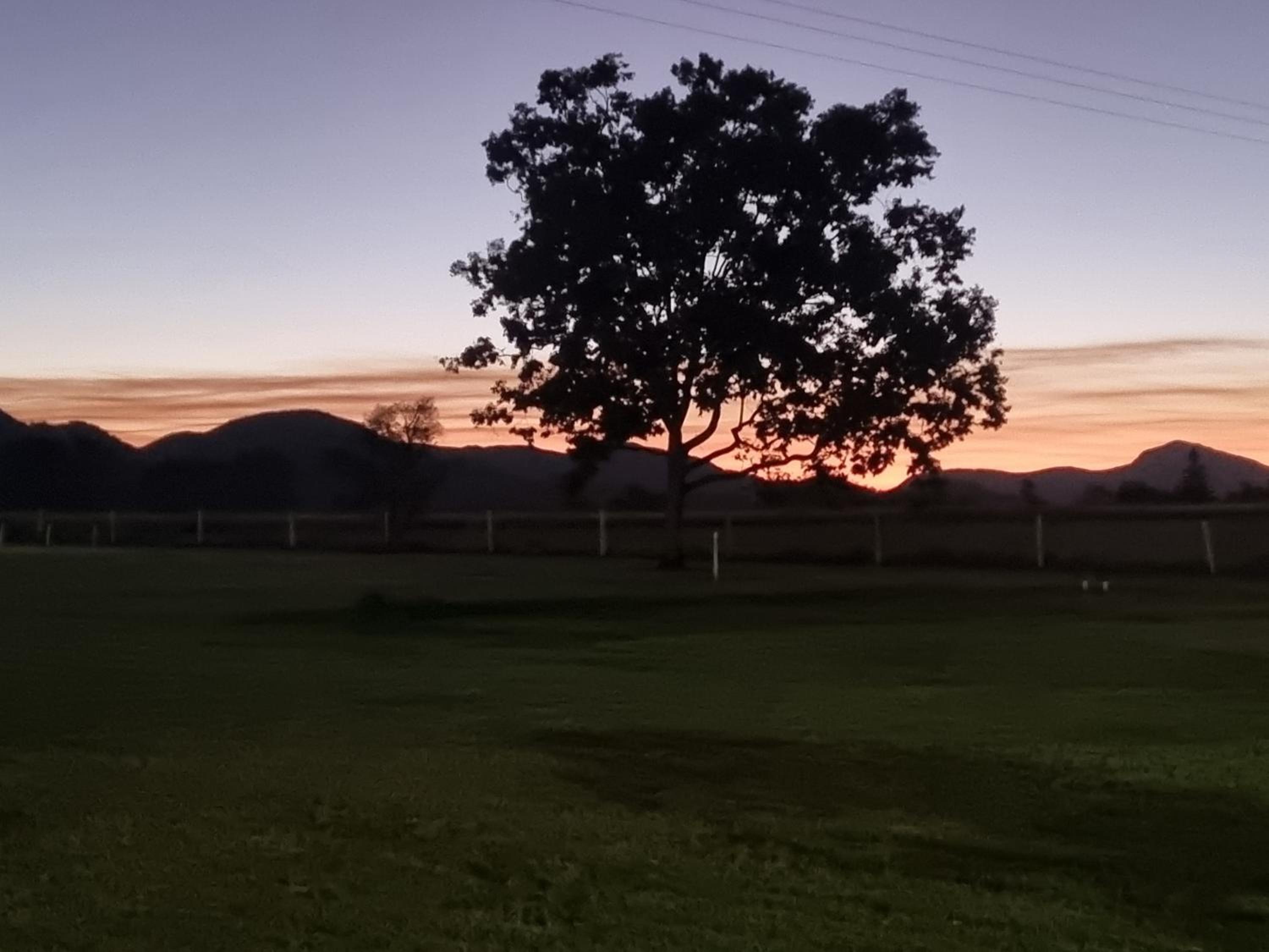 Koorawatha Homestead Motel