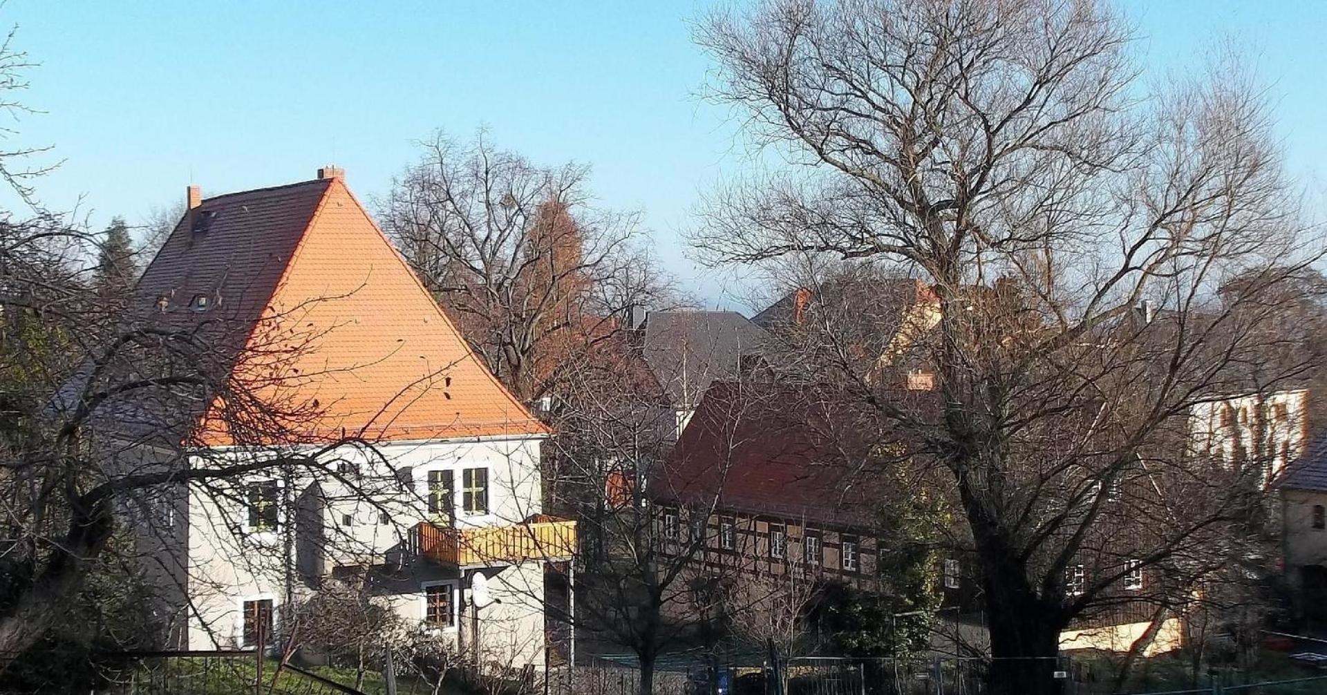 Wohnung in Maxen mit Terrasse, Garten und Grill