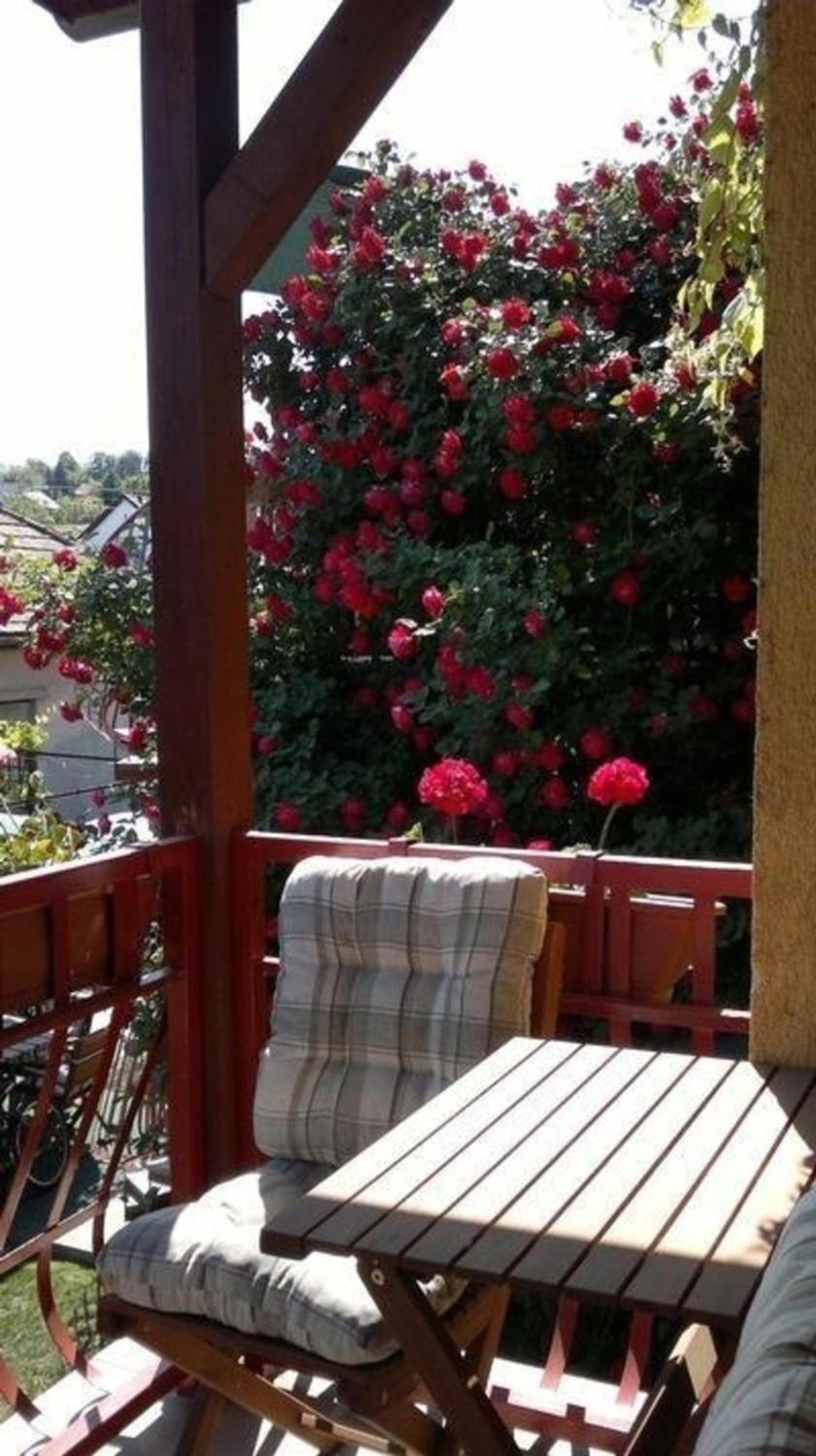 Wohnung in Fonyd mit Schönem Garten view 3