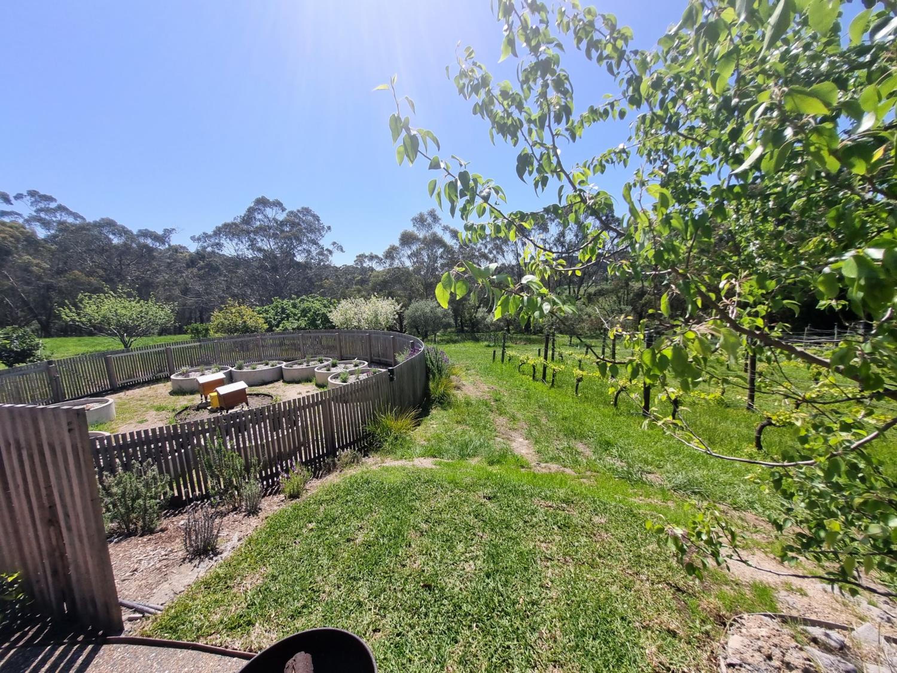 Winemakers Cottage at Treetops Red Hill