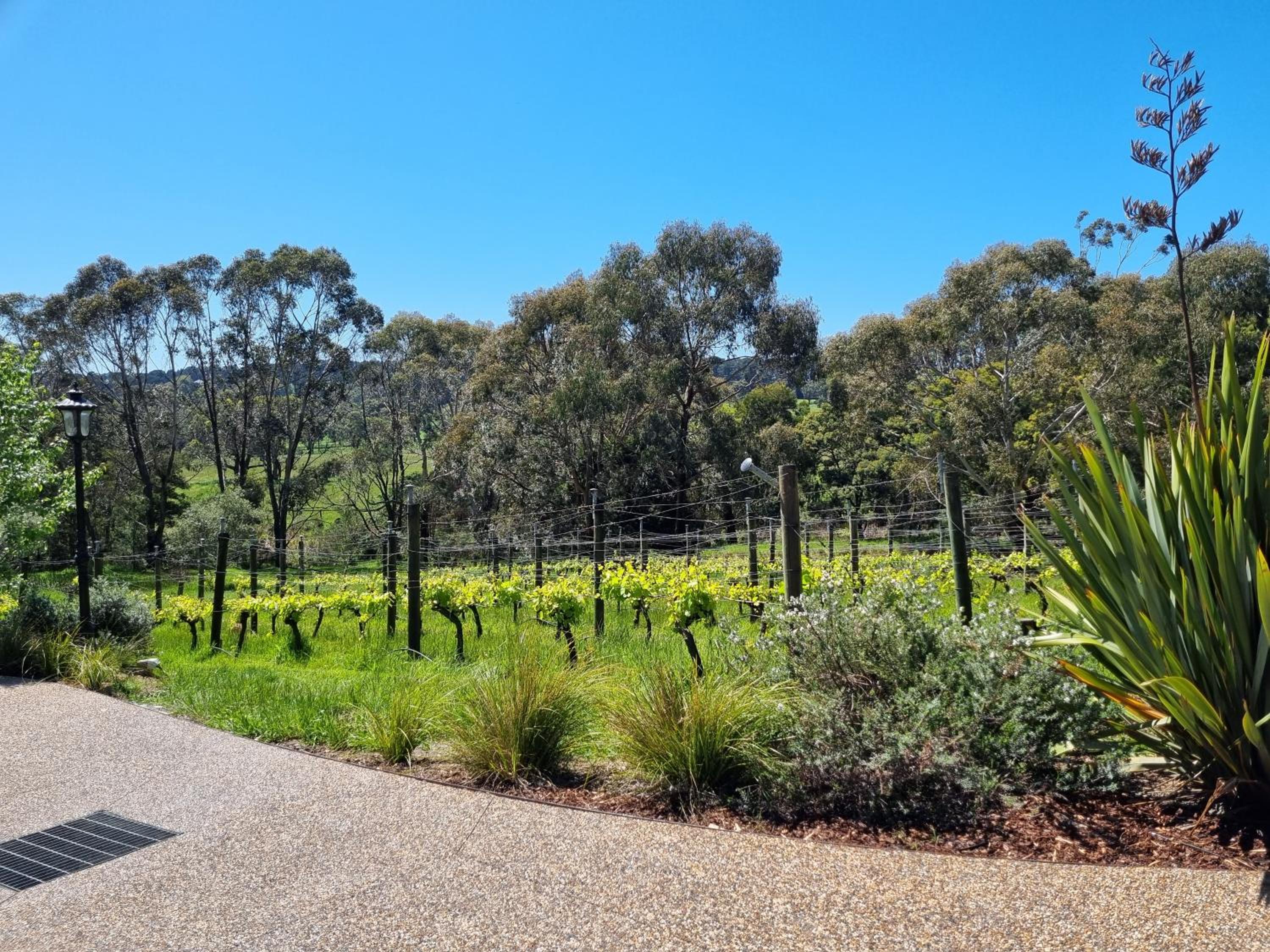 Winemakers Cottage at Treetops Red Hill
