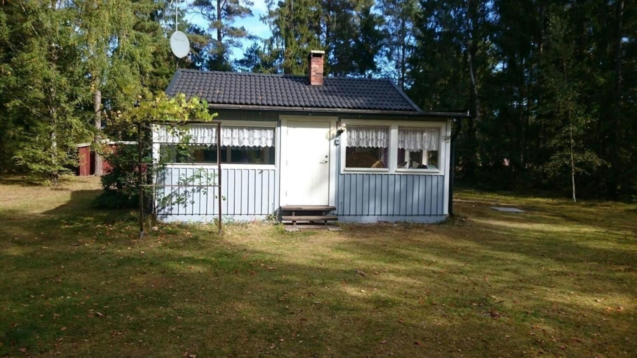 Photo 12