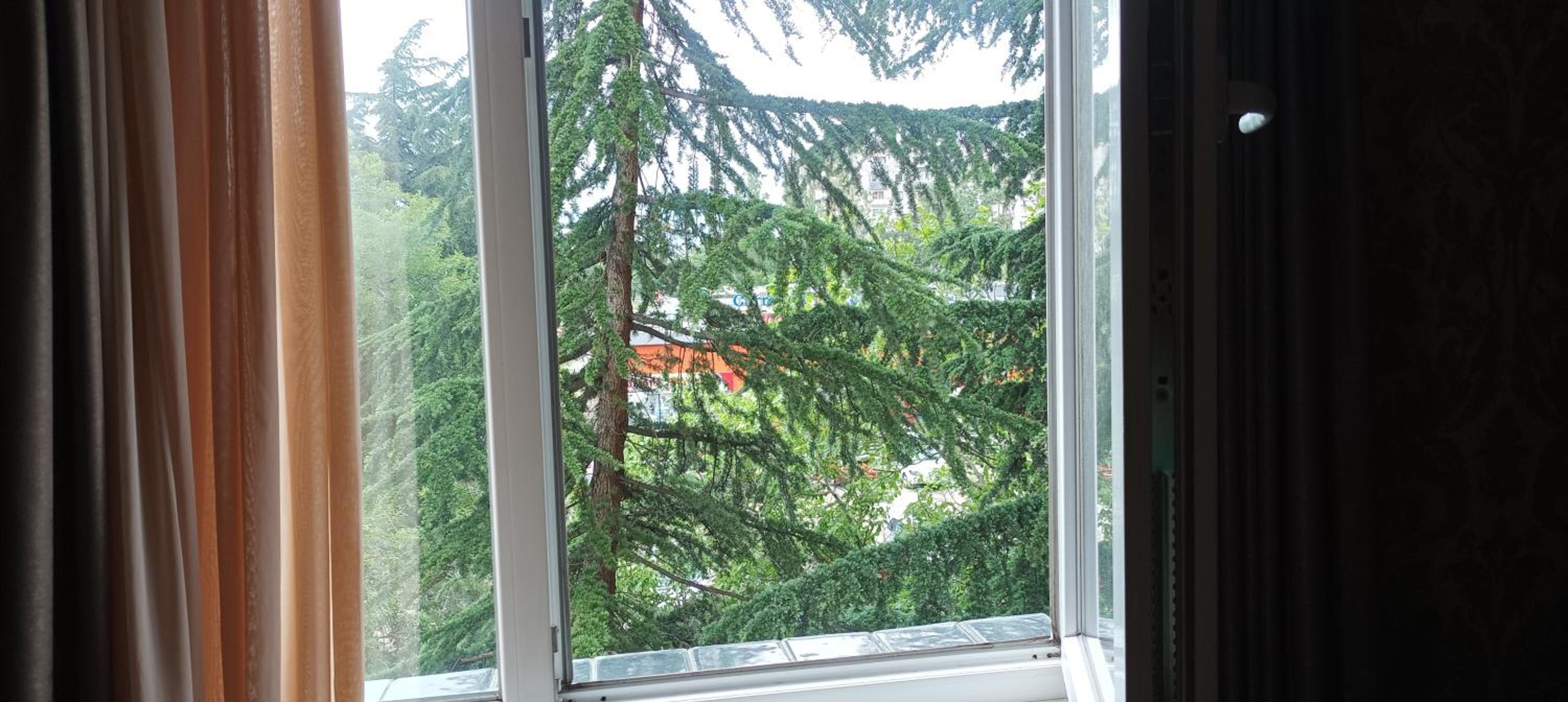 Cozy Apartment in Tbilisi