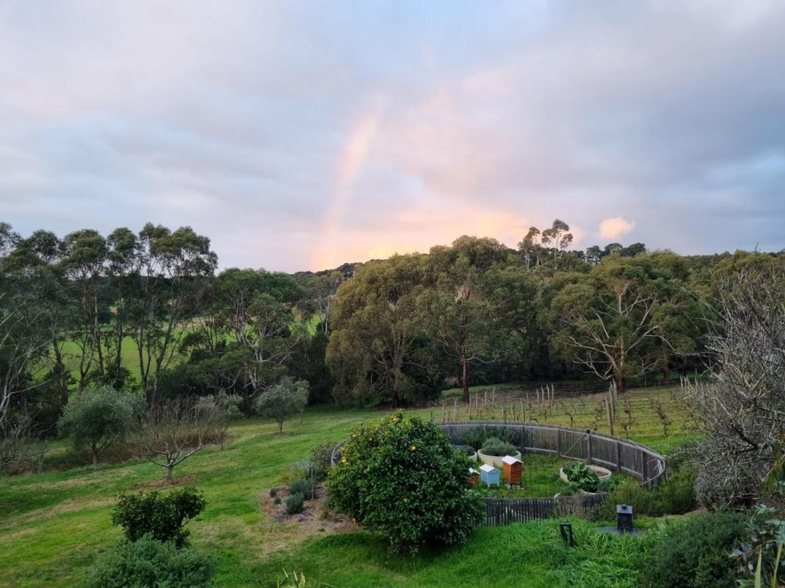 Winemakers Cottage at Treetops Red Hill