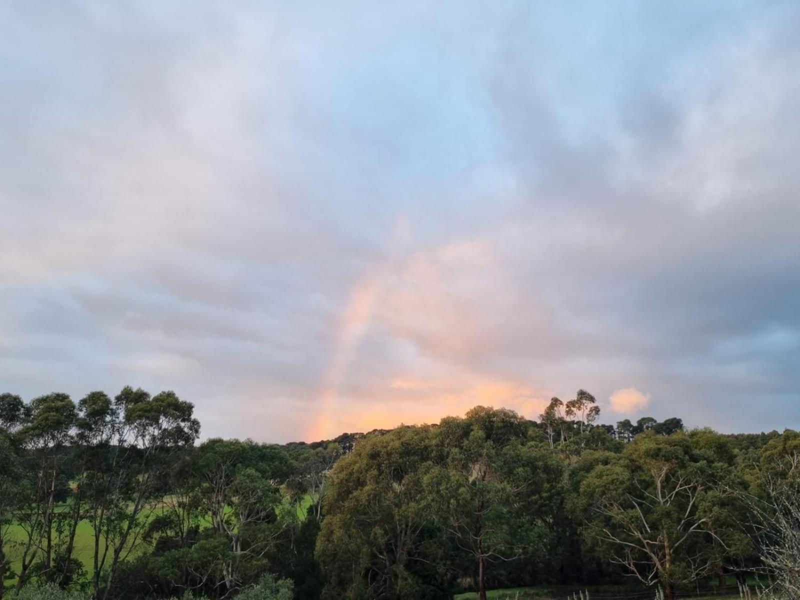Winemakers Cottage at Treetops Red Hill