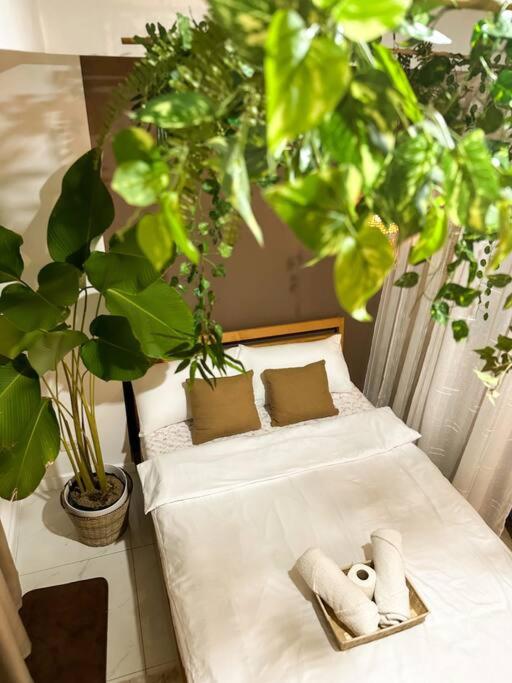 Tropical Paradise Staycation Unit in Azure view 4