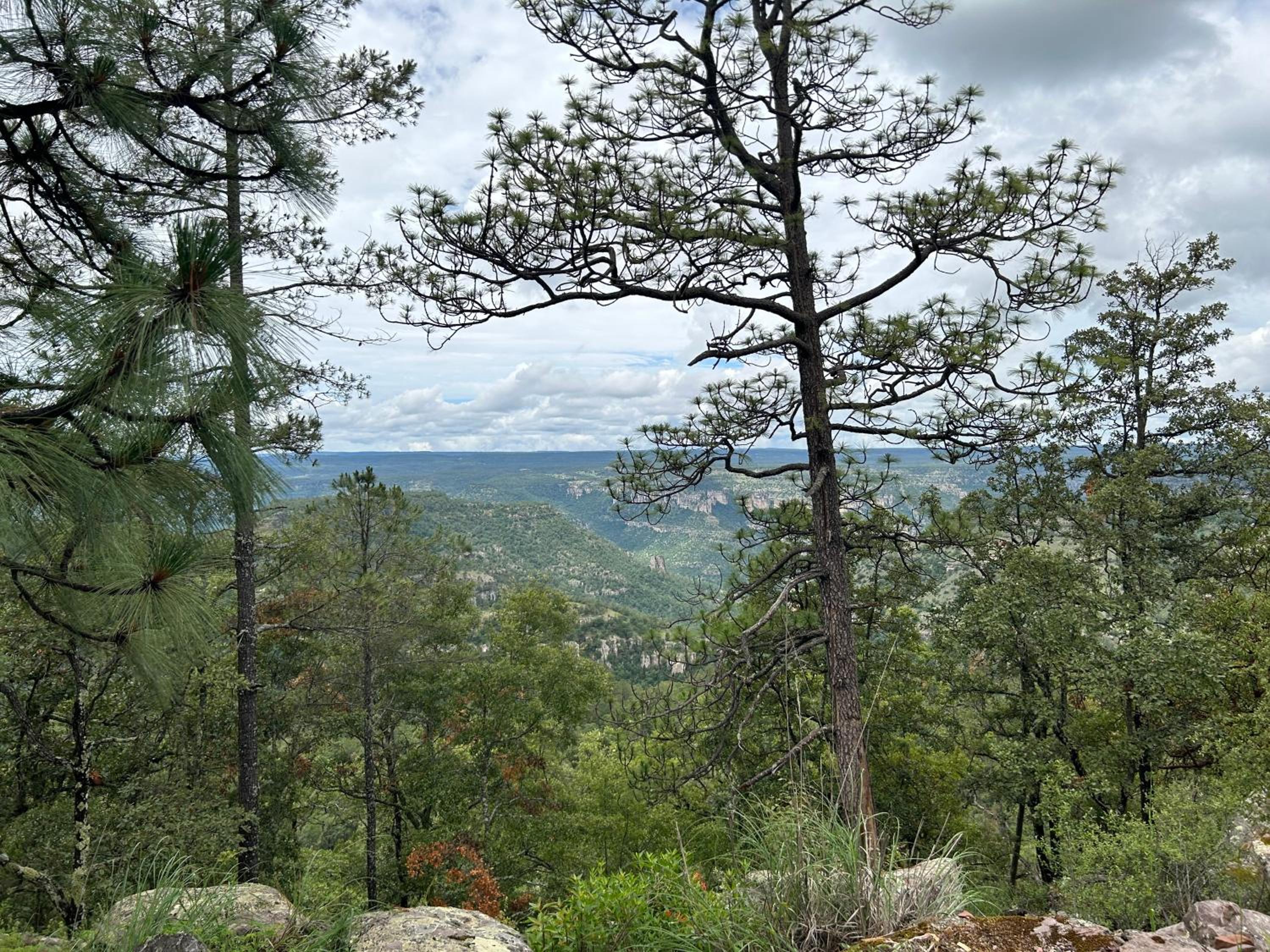 Cabaña Rincón del Bosque en Durango view 4
