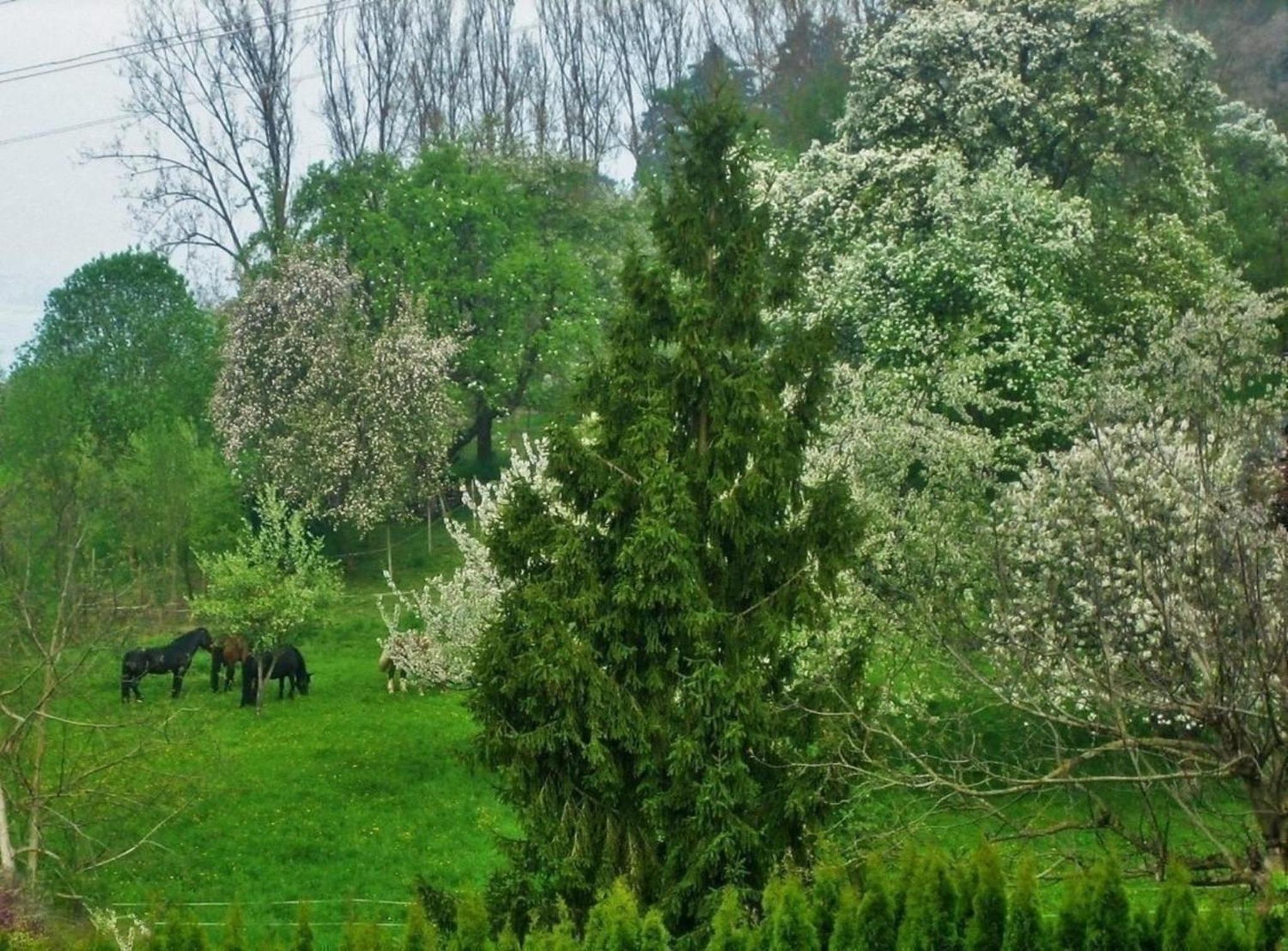 Villa Romantica