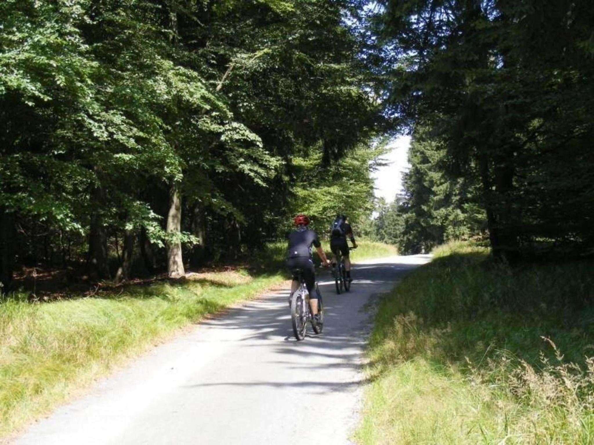 Ferienwohnung Birkenhain