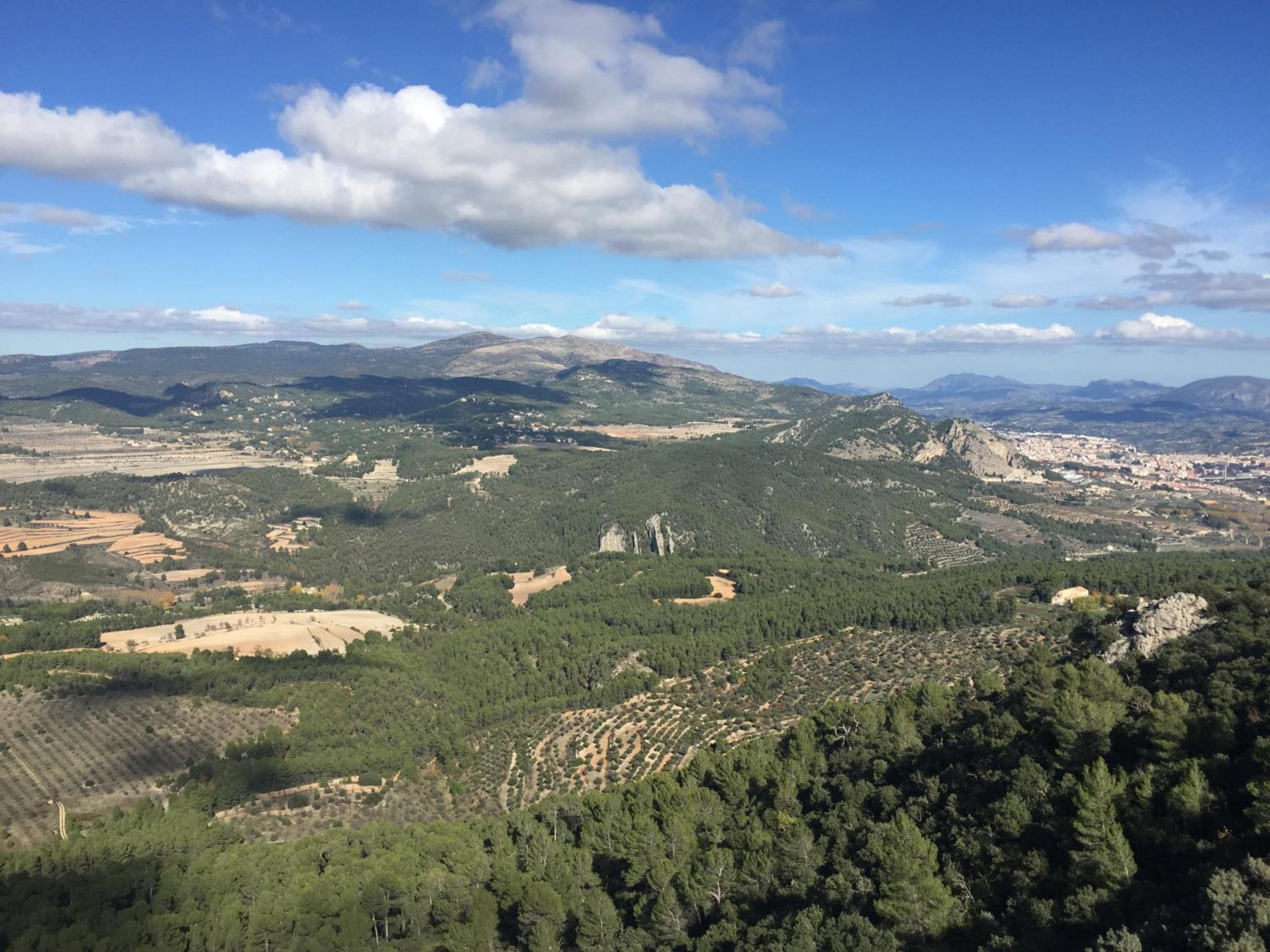Masía La Safranera