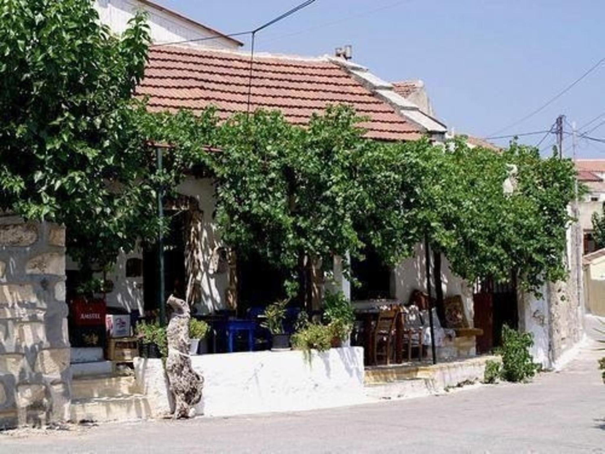 Photo 16