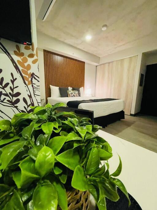Studio Sabana Secrt 3011