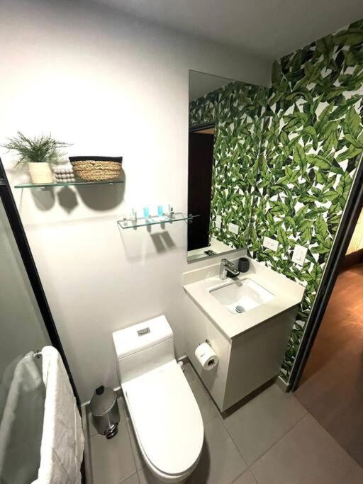 Studio Sabana Secrt 3011