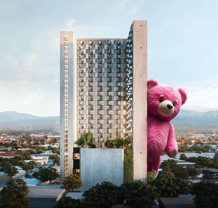 Studio Sabana Secrt 3011