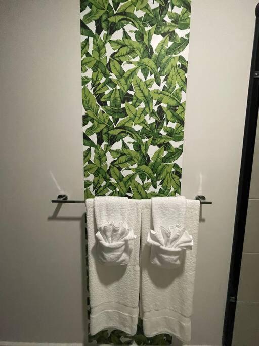 Studio Sabana Secrt 3011