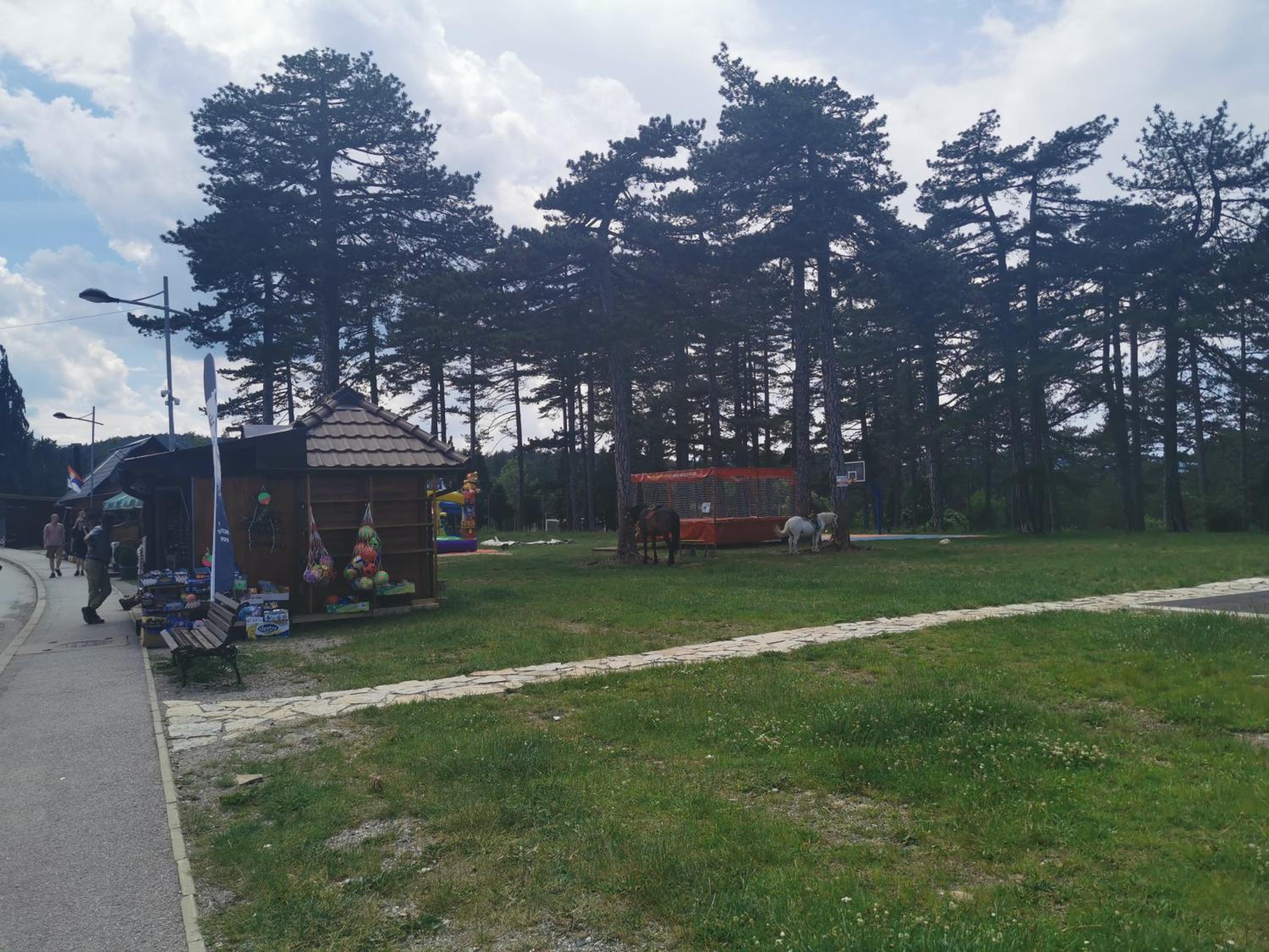 Photo 11