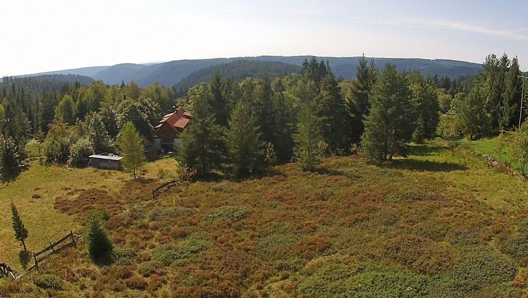 Gemütliche Ferienwohnung in Kniebis mit Großem Garten