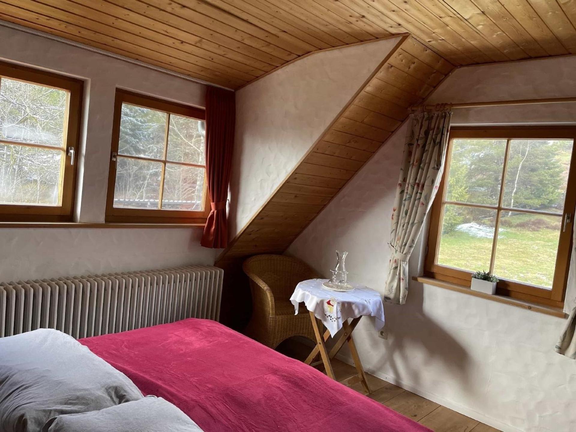 Gemütliche Ferienwohnung in Kniebis mit Großem Garten