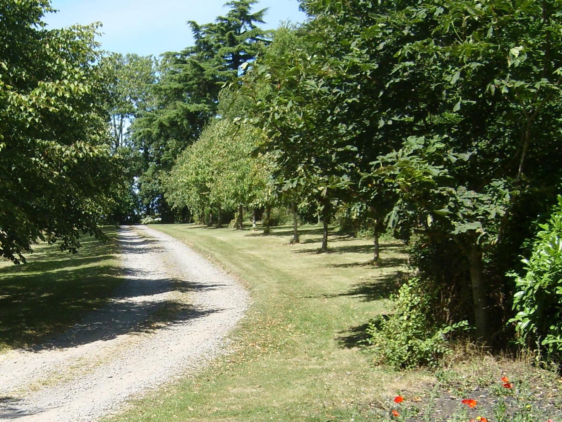 The Hall Farm Bed And Breakfast view 5