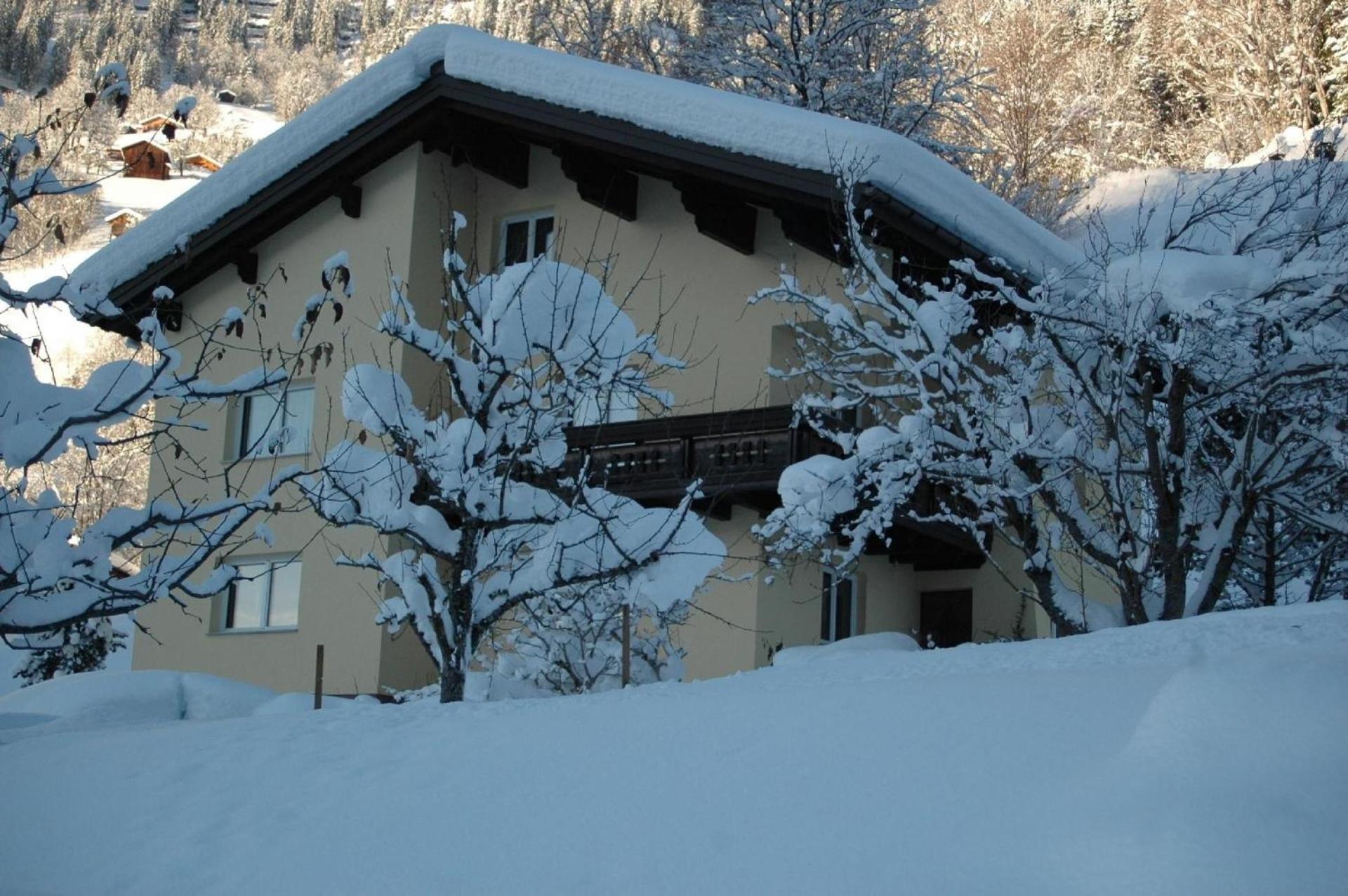 Große Wohnung In Silbertal Mit Großem Garten