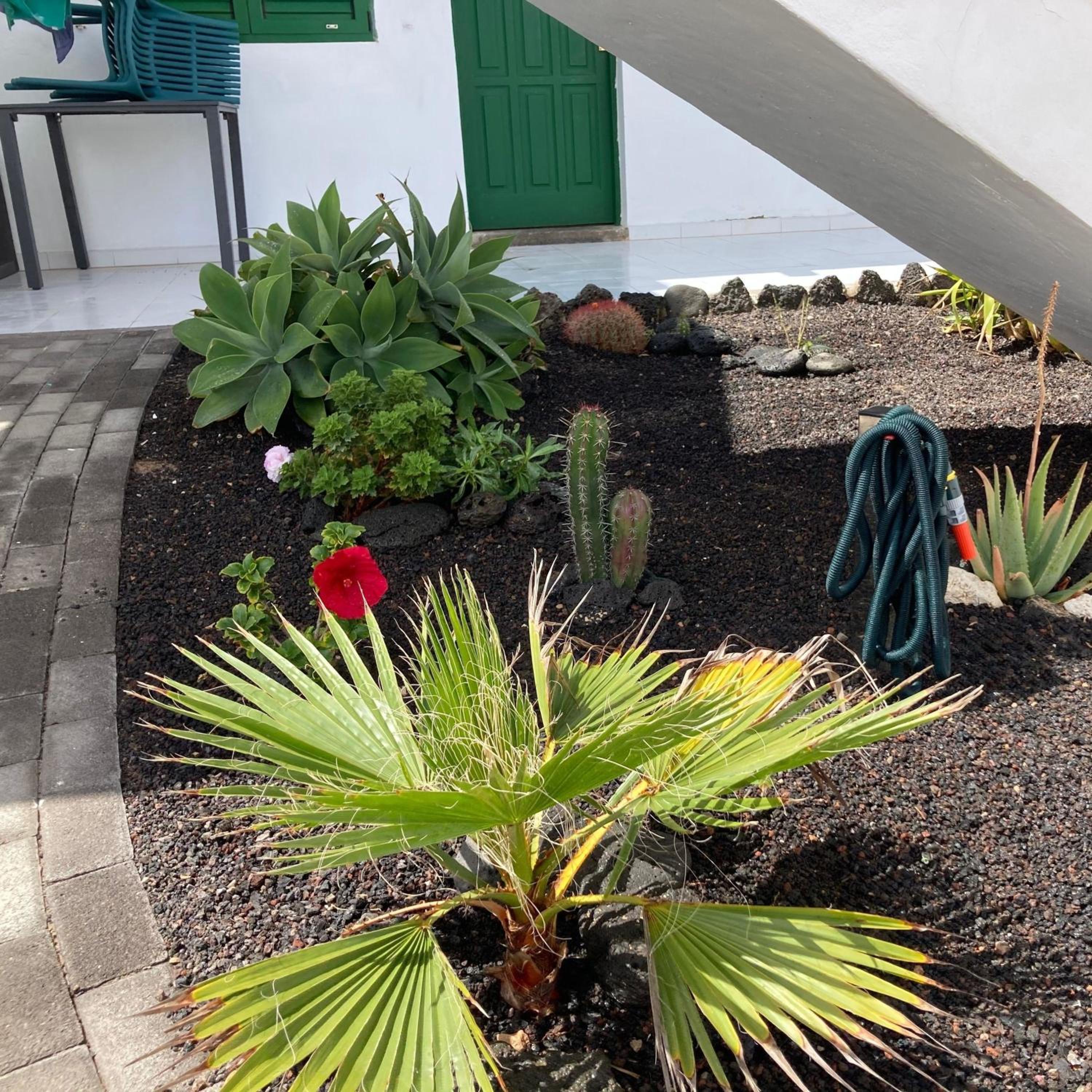 Traumappartement in El Cotillo mit Großer Terrasse