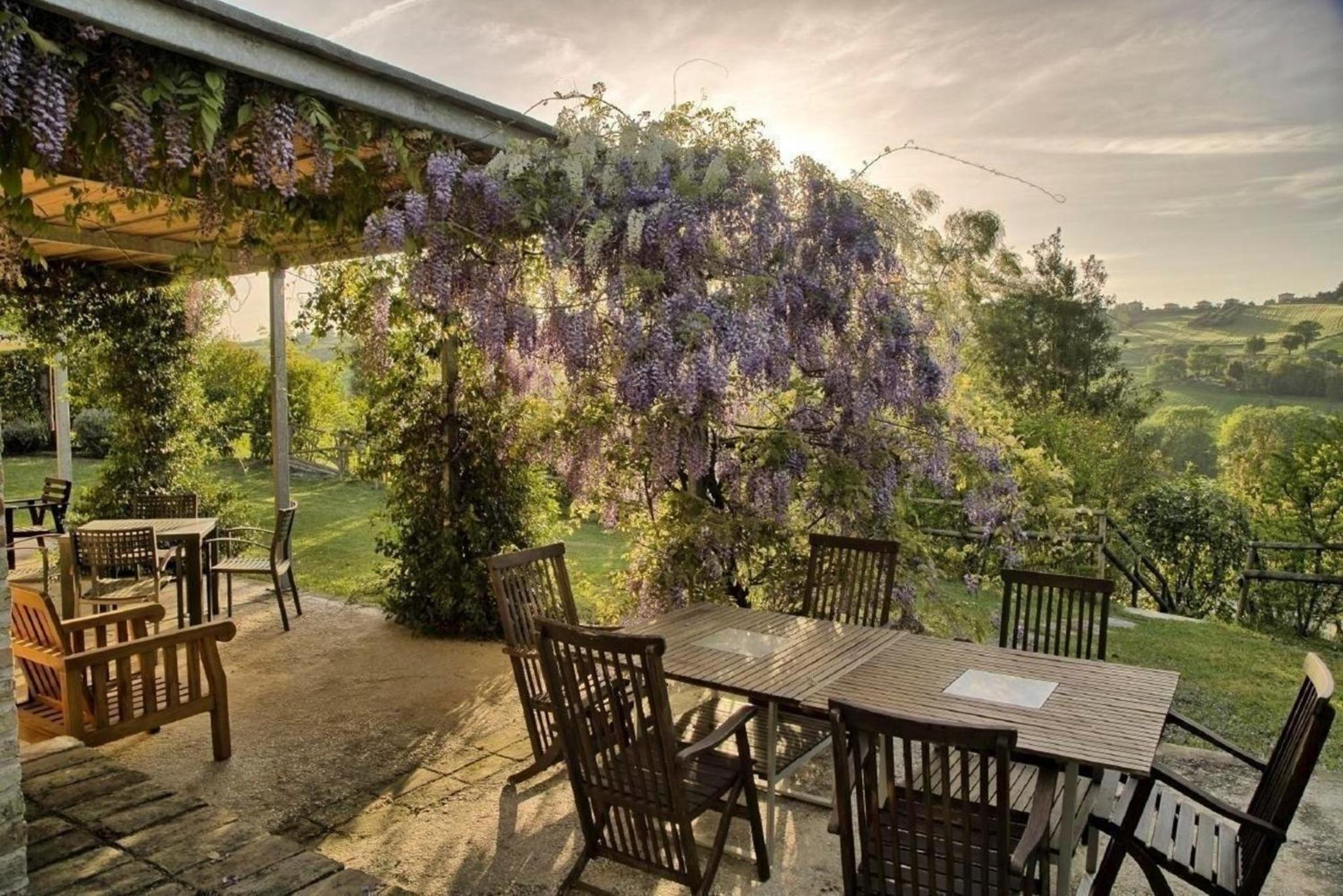 Wohnung in Ostra mit Privatem Garten view 4