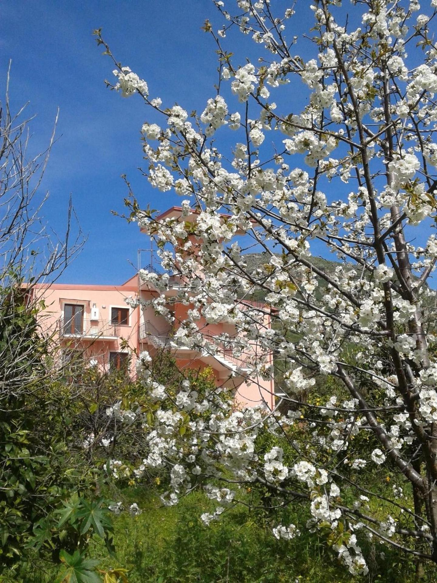 Ferienwohnung In Letojanni Mit Terrasse