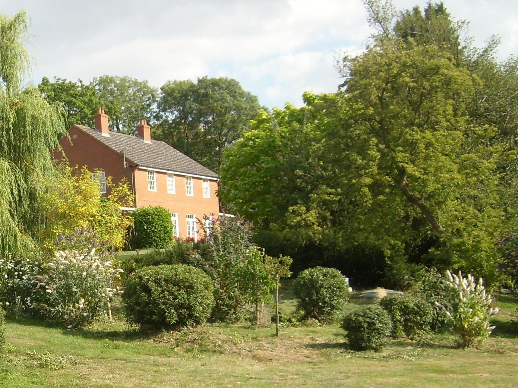 Photo 15