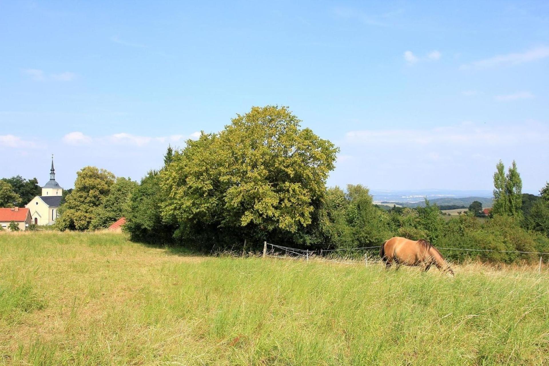 Wohnung Mit Terrasse Im Sanierten Fachwerkhof