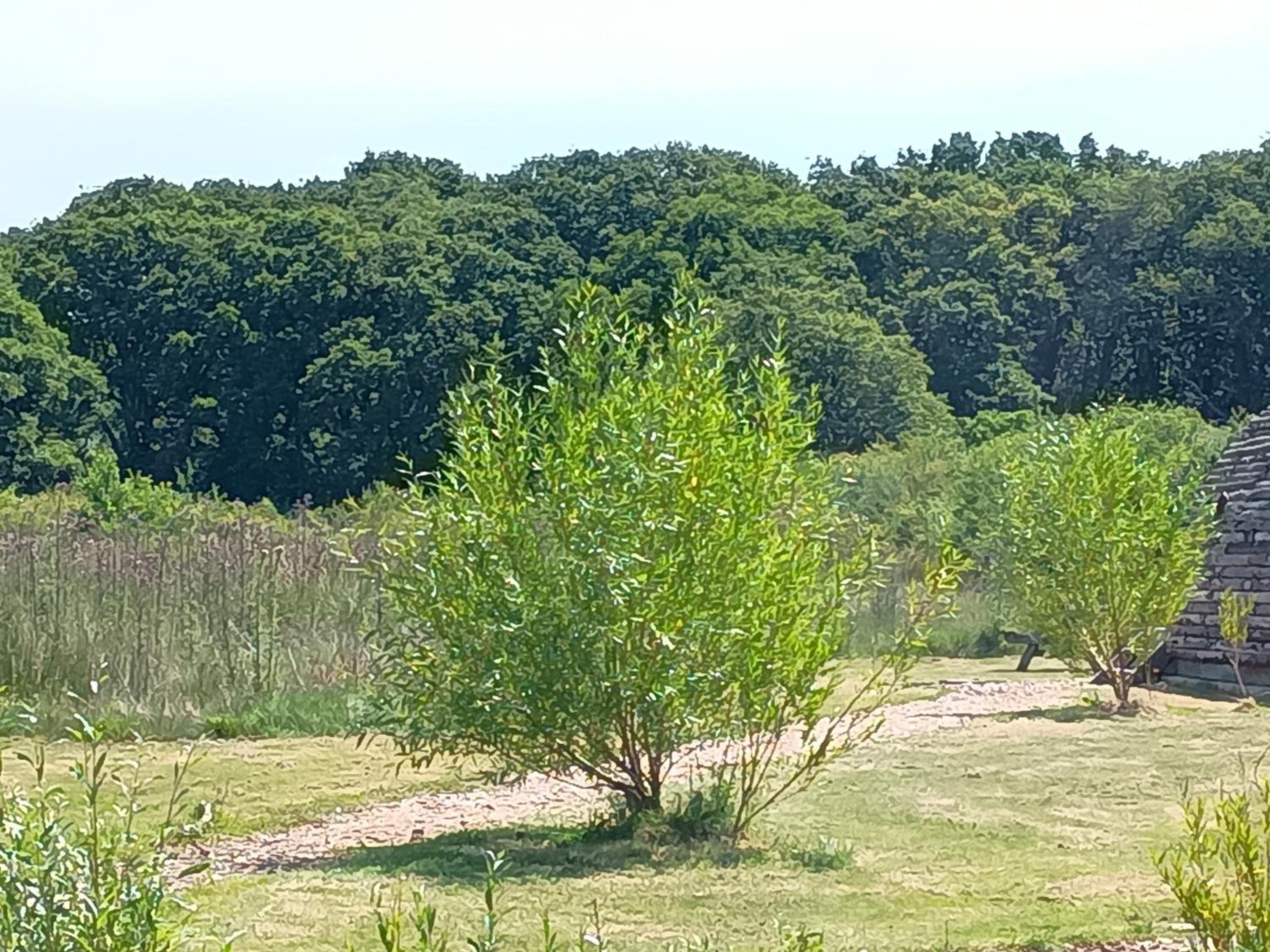 Photo 26