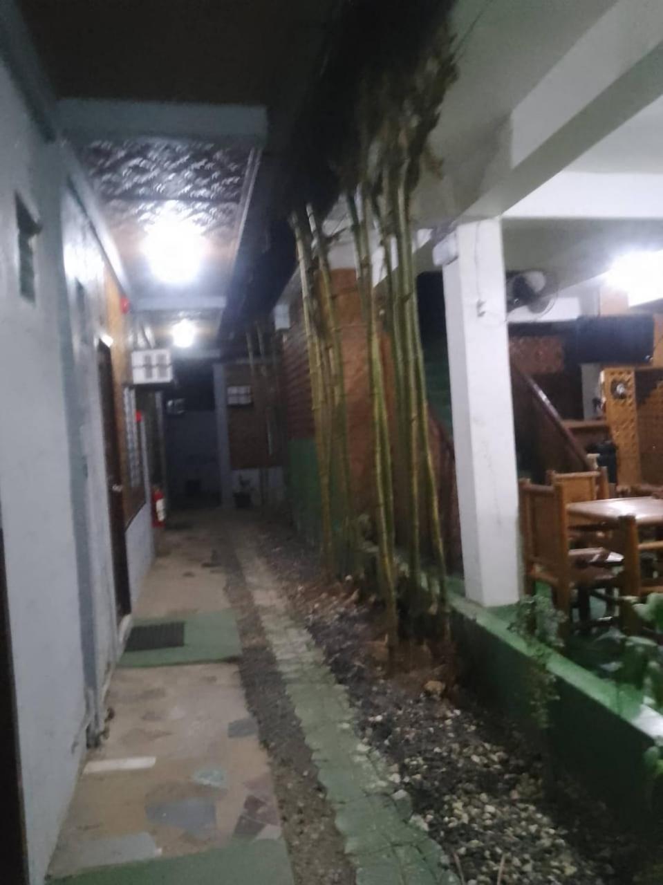 MISCHA'S Hostel view 2