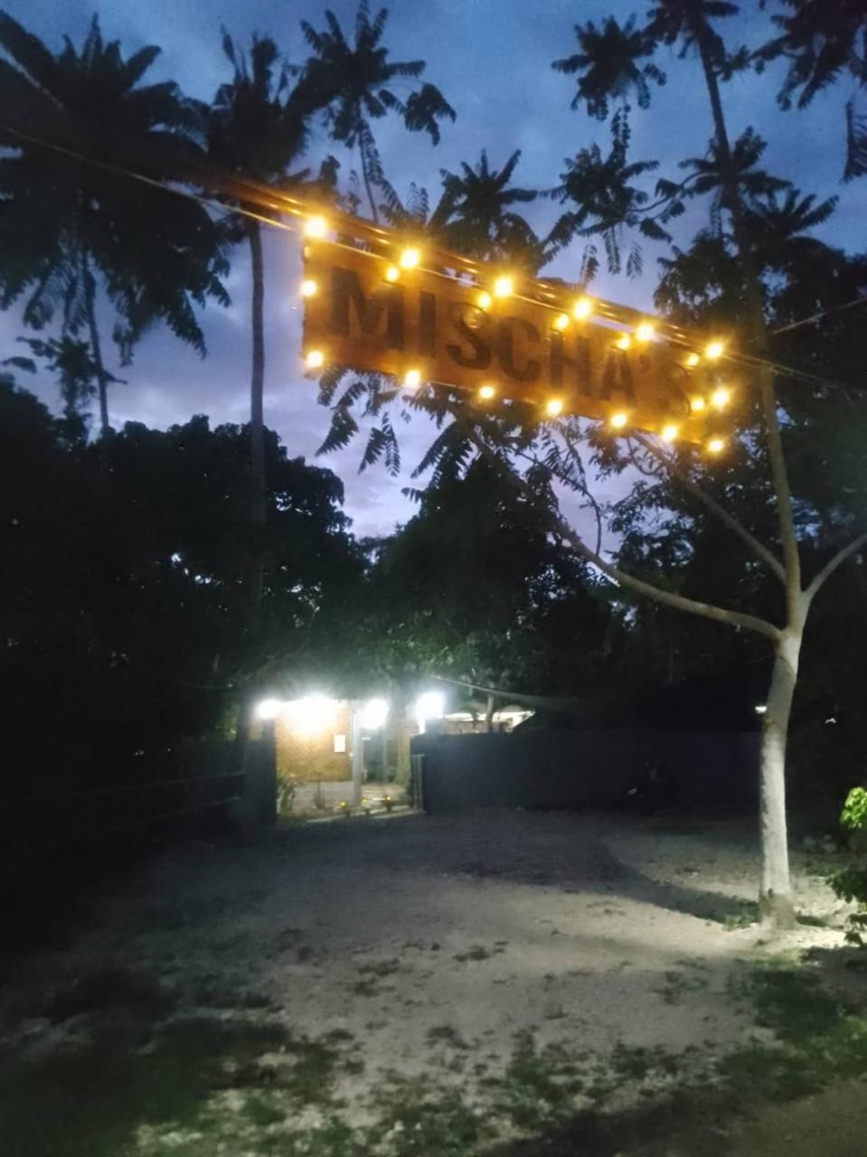 MISCHA'S Hostel view 4
