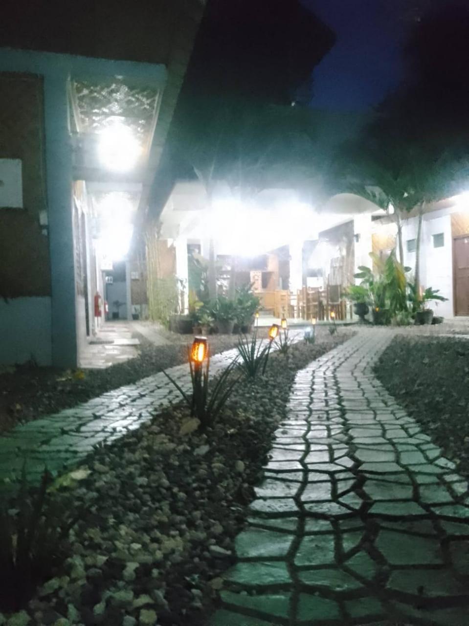 MISCHA'S Hostel view 5