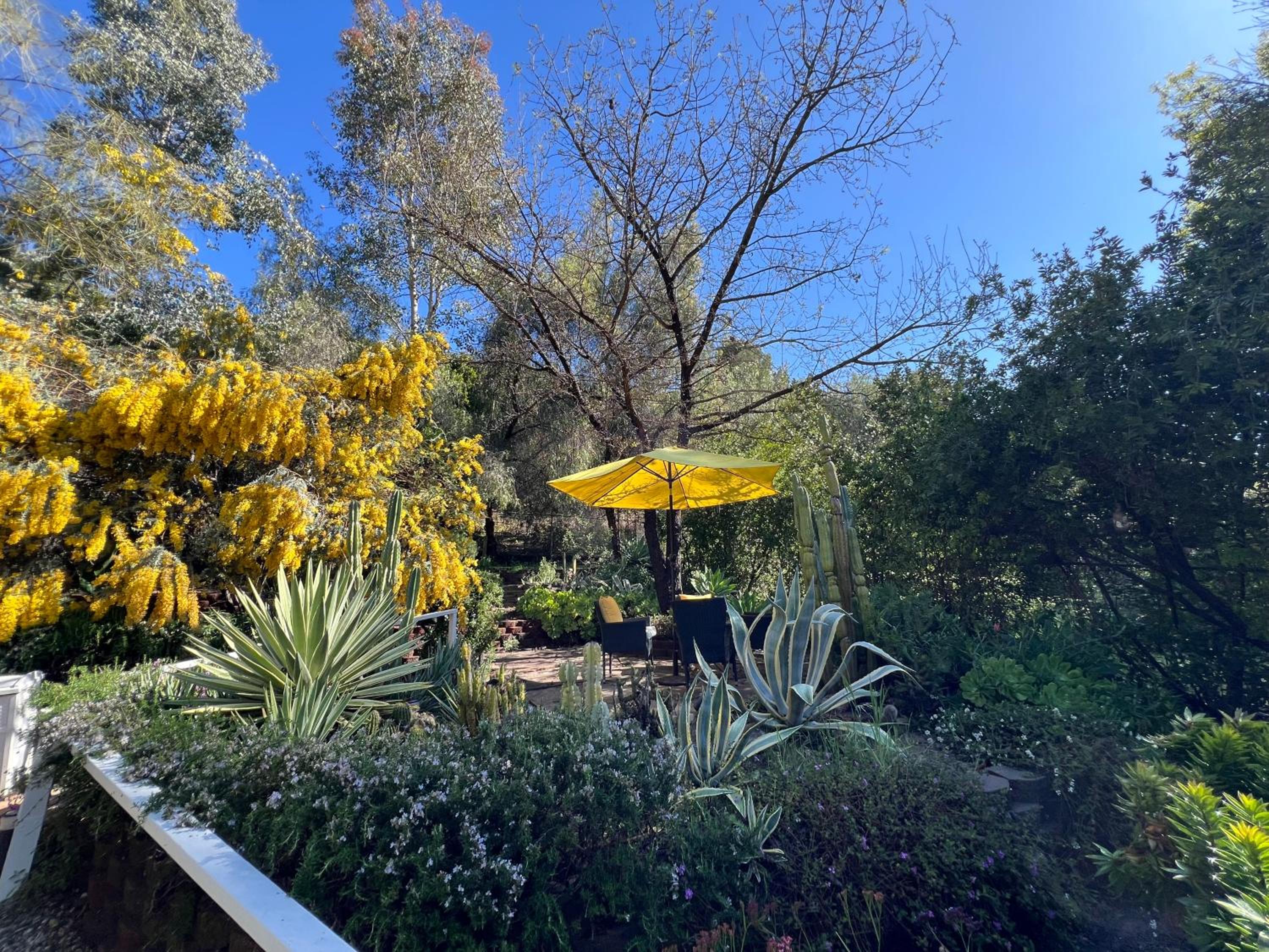 Los Angeles Vacations - Villa La Reforma - Newly Designed 4BR HOUSE POOL in Los Angeles by Topanga - Property Image 30