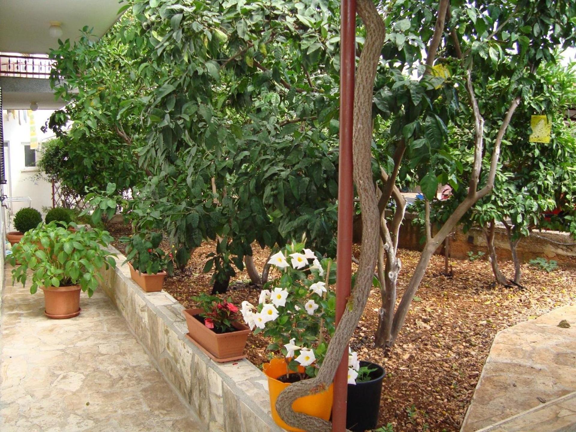 Ferienwohnung in Slatine mit Garten und Terrasse view 5