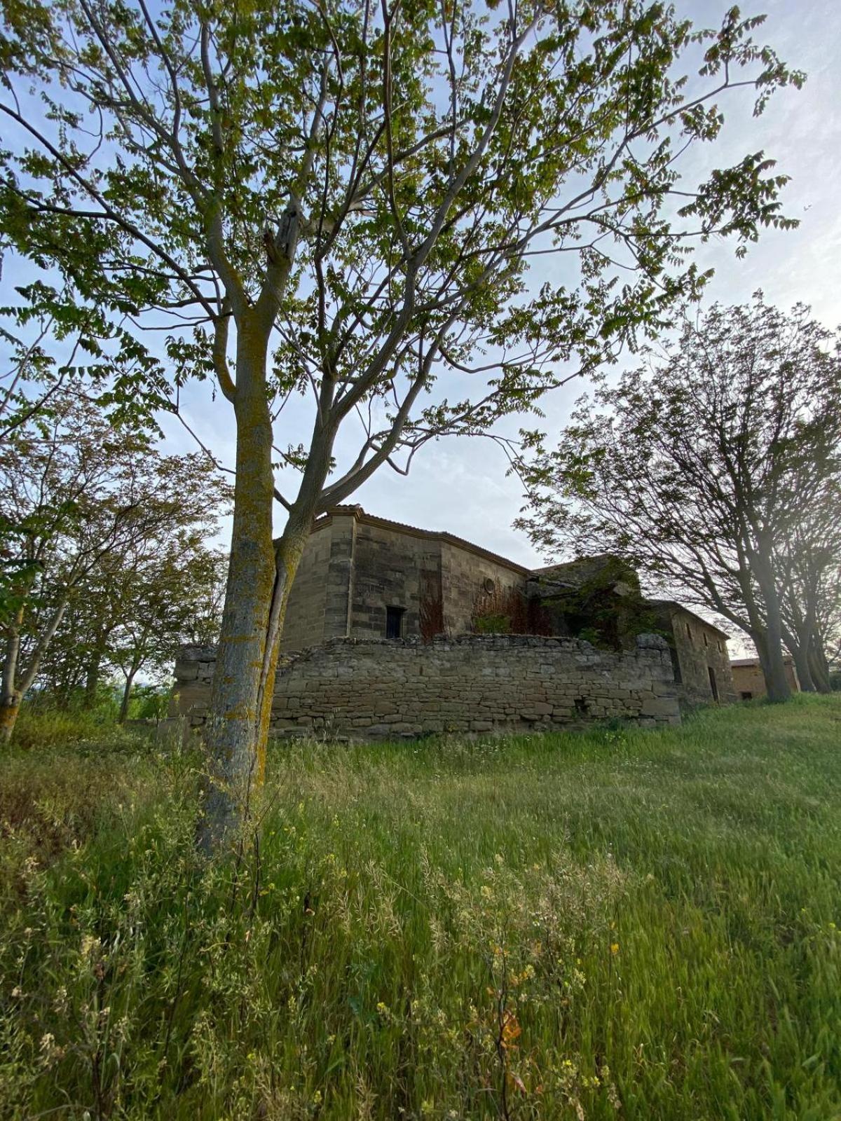 Photo 22
