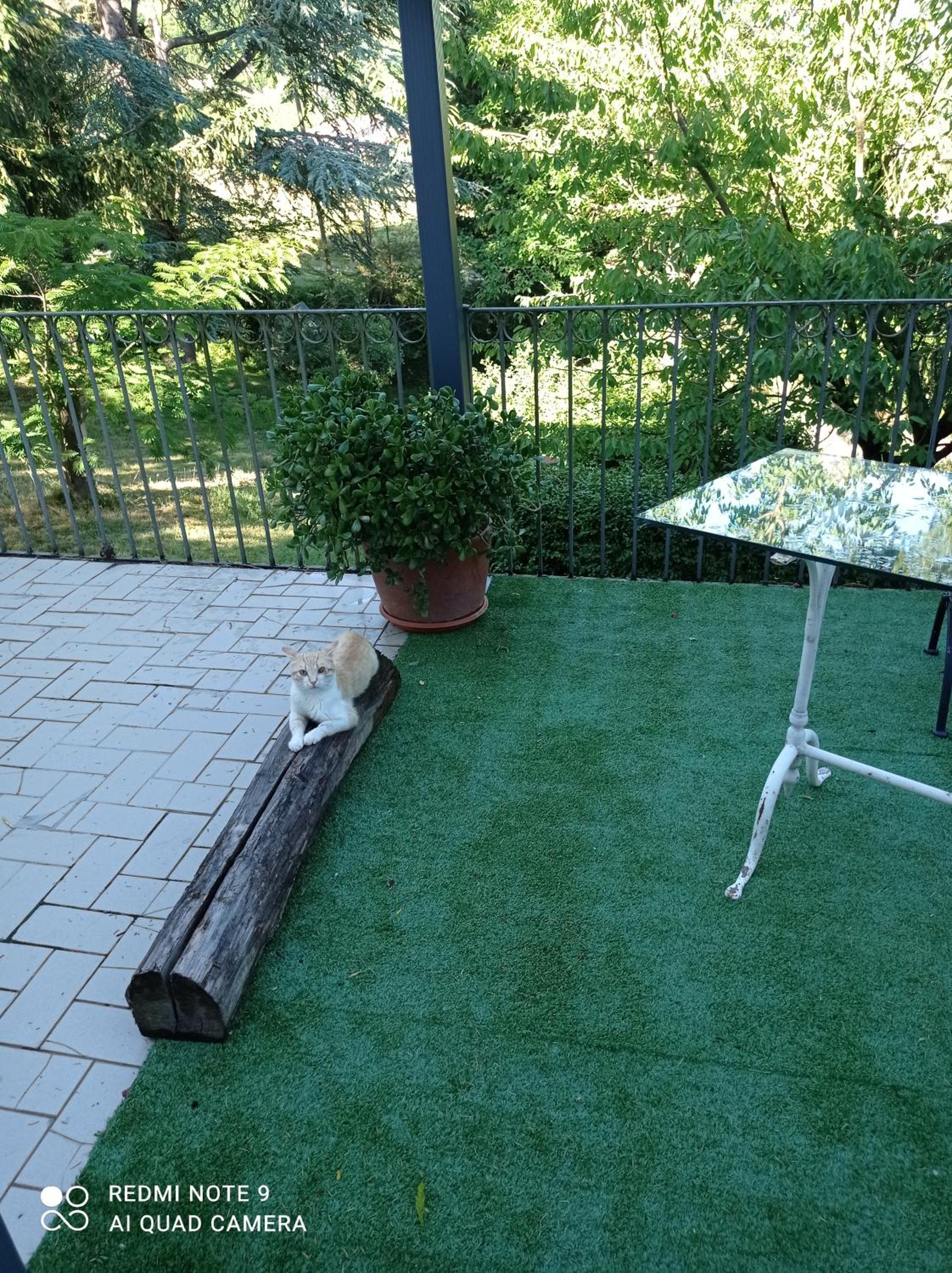 Photo 22